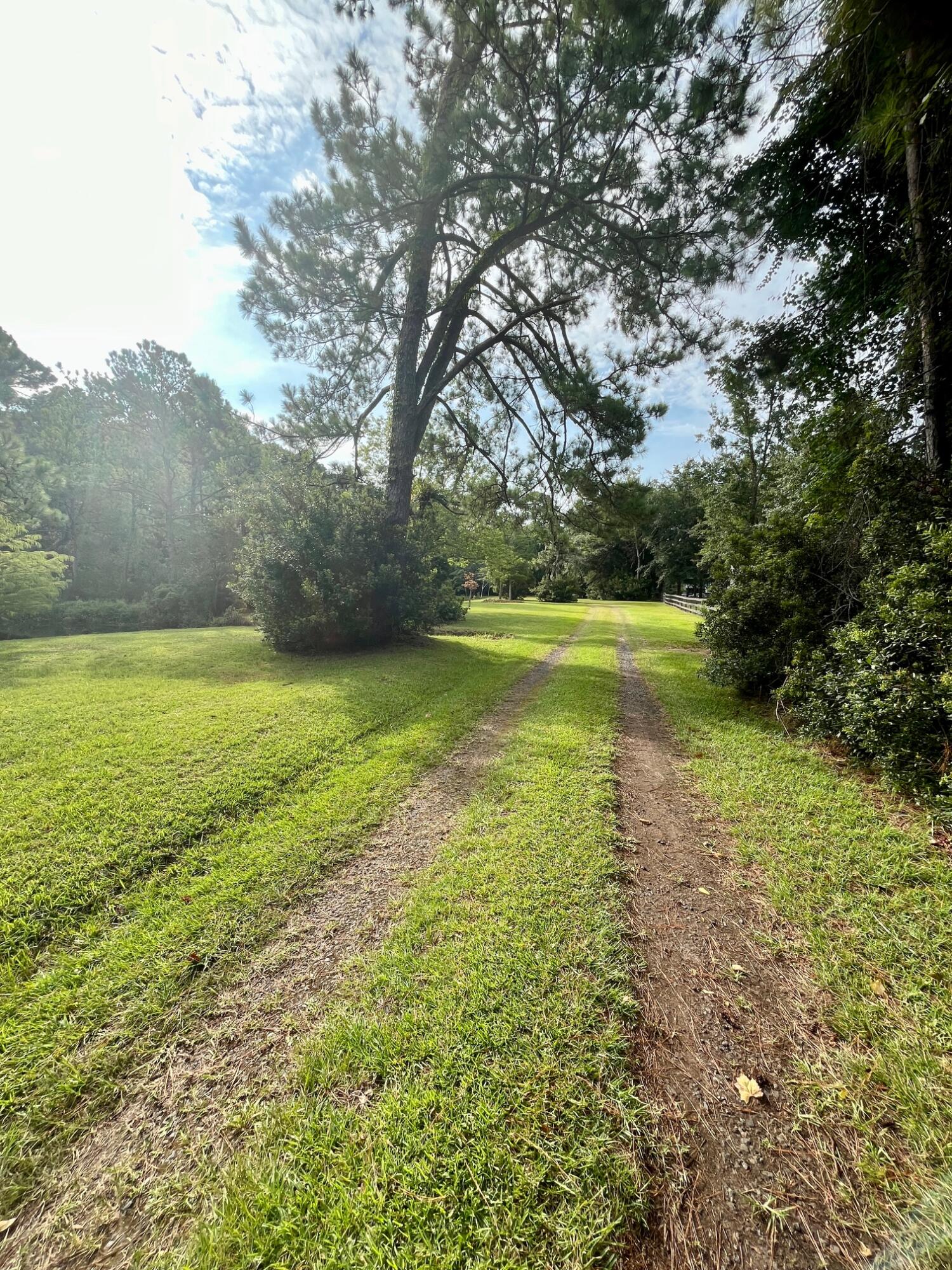 8272 Palmetto Road