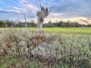 8272 Palmetto Road