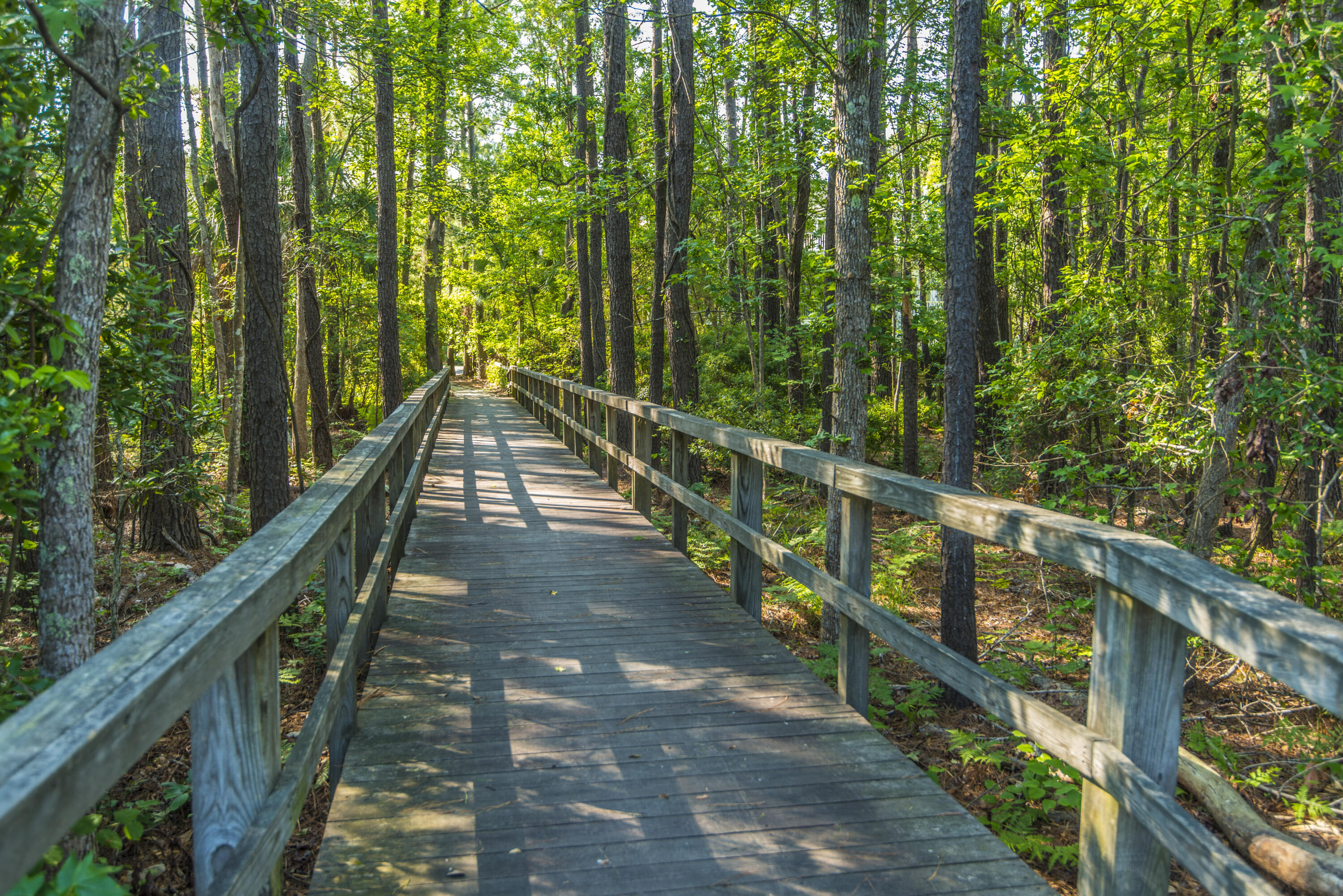 4261 Coolidge Street