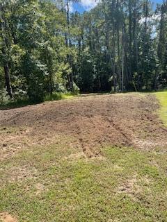 8357 Chisolm Plantation Road