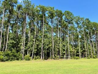 8357 Chisolm Plantation Road