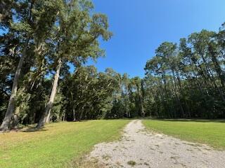 8357 Chisolm Plantation Road