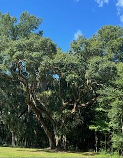 8357 Chisolm Plantation Road