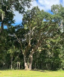 8357 Chisolm Plantation Road