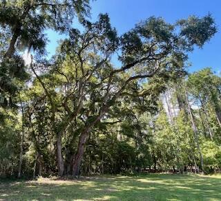 8357 Chisolm Plantation Road