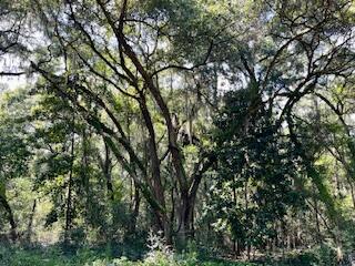 8357 Chisolm Plantation Road