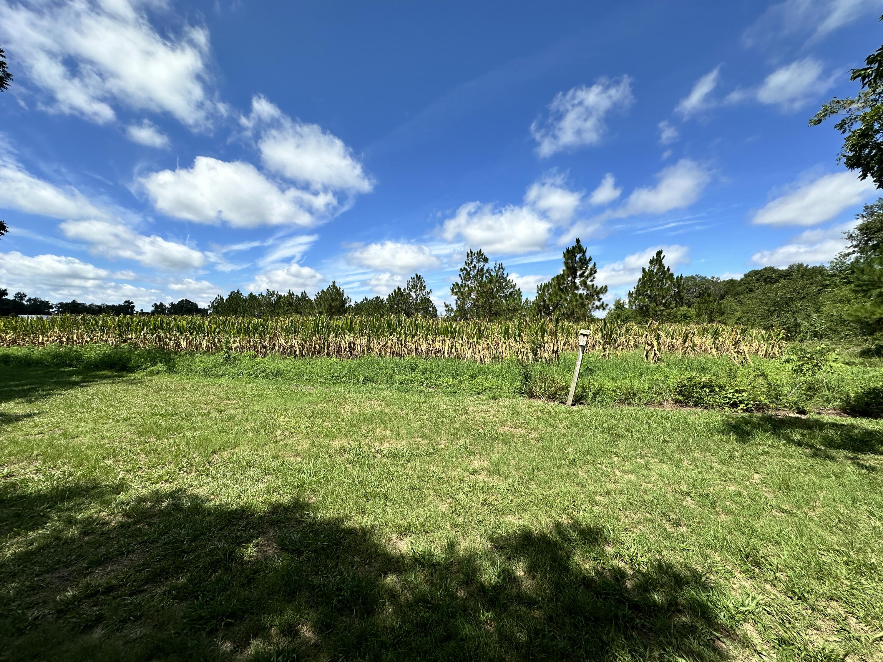 7954 Kingstree Highway