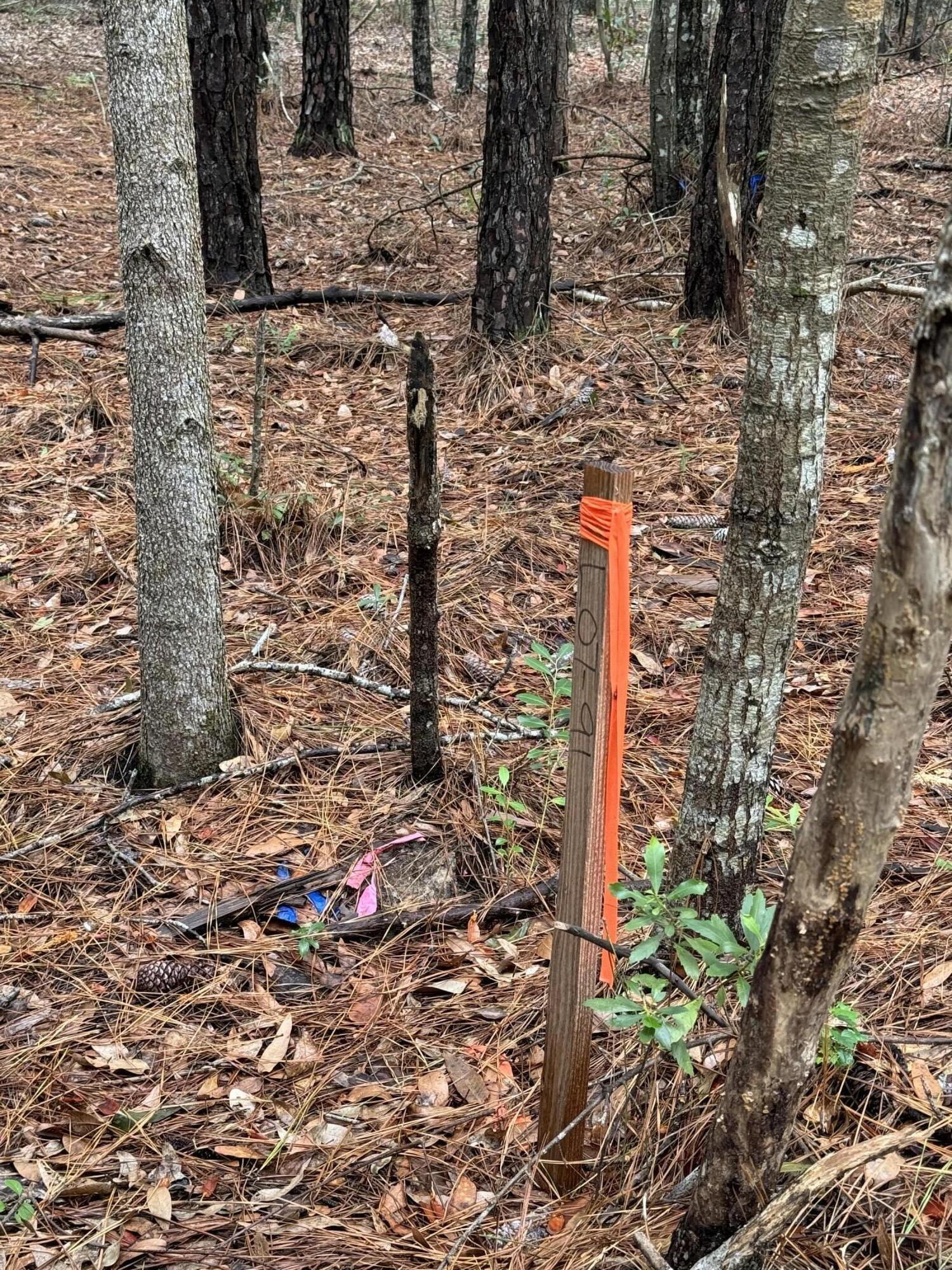 1694 Old Town Avenue