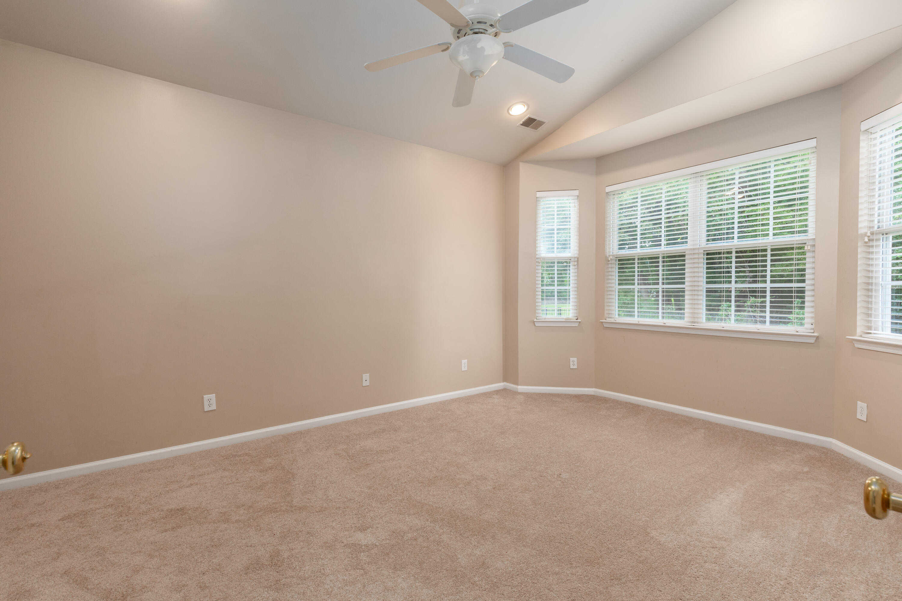 417 Sycamore Shade Street