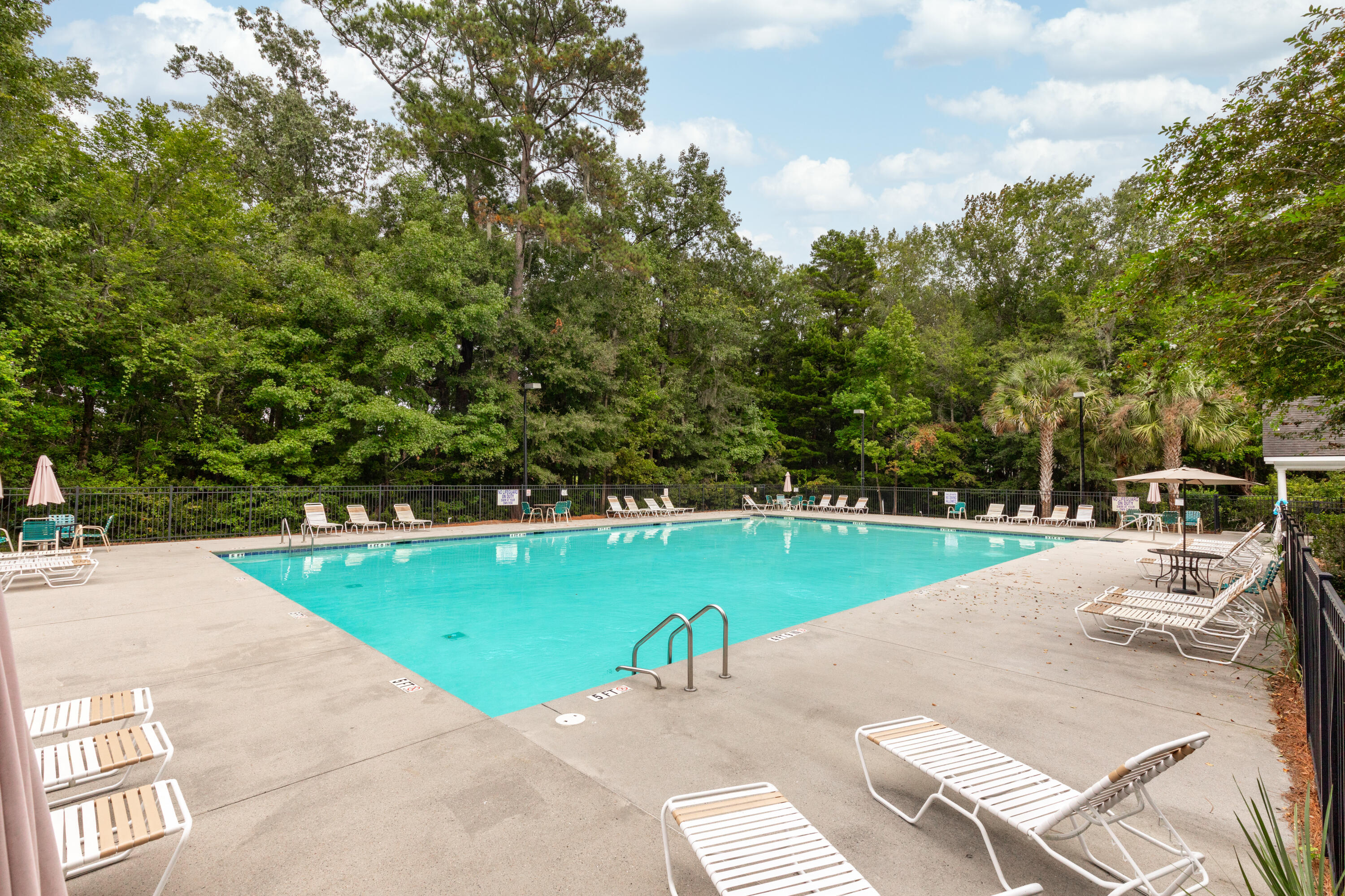 417 Sycamore Shade Street