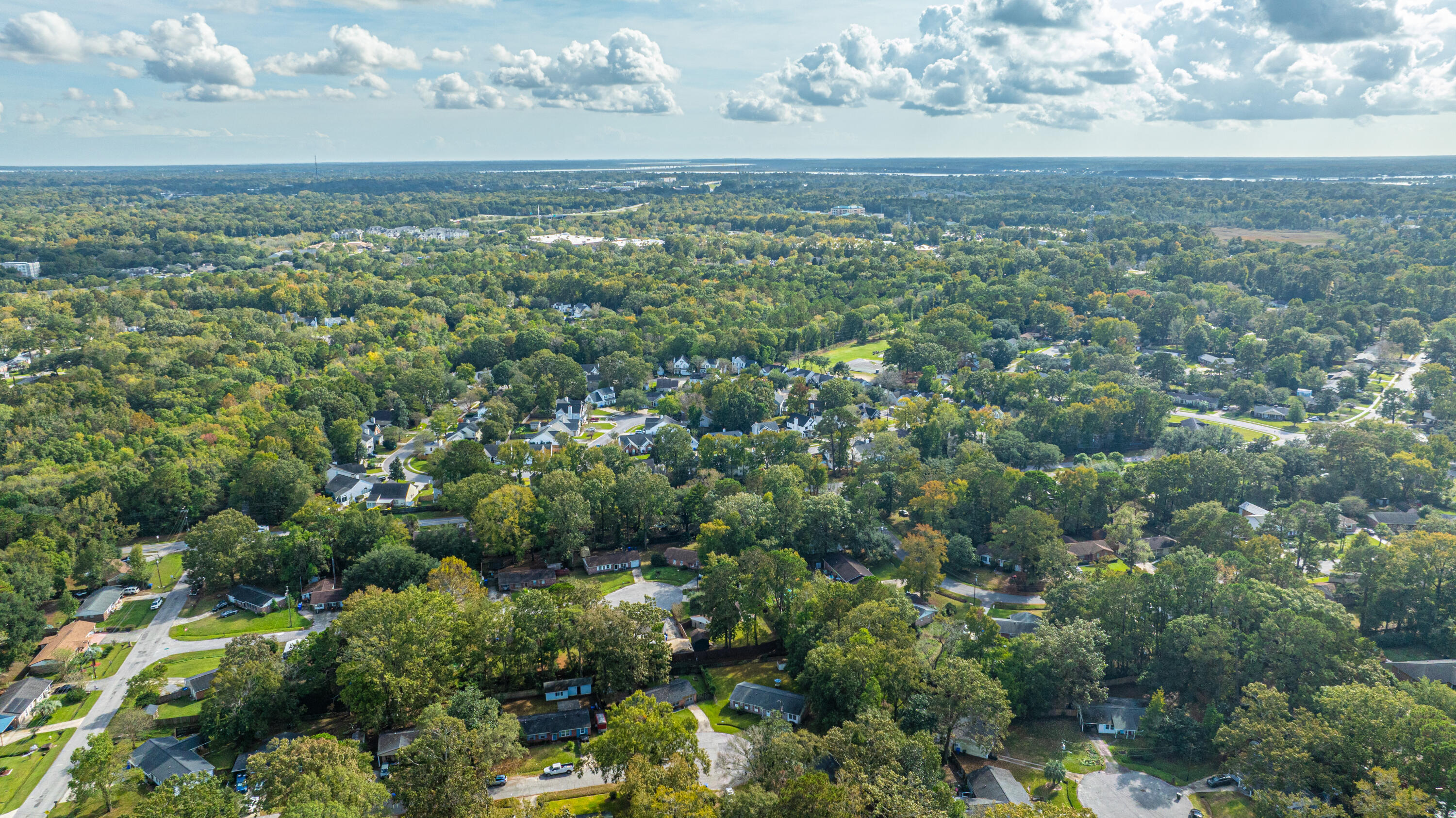 1989 Beechnut Street