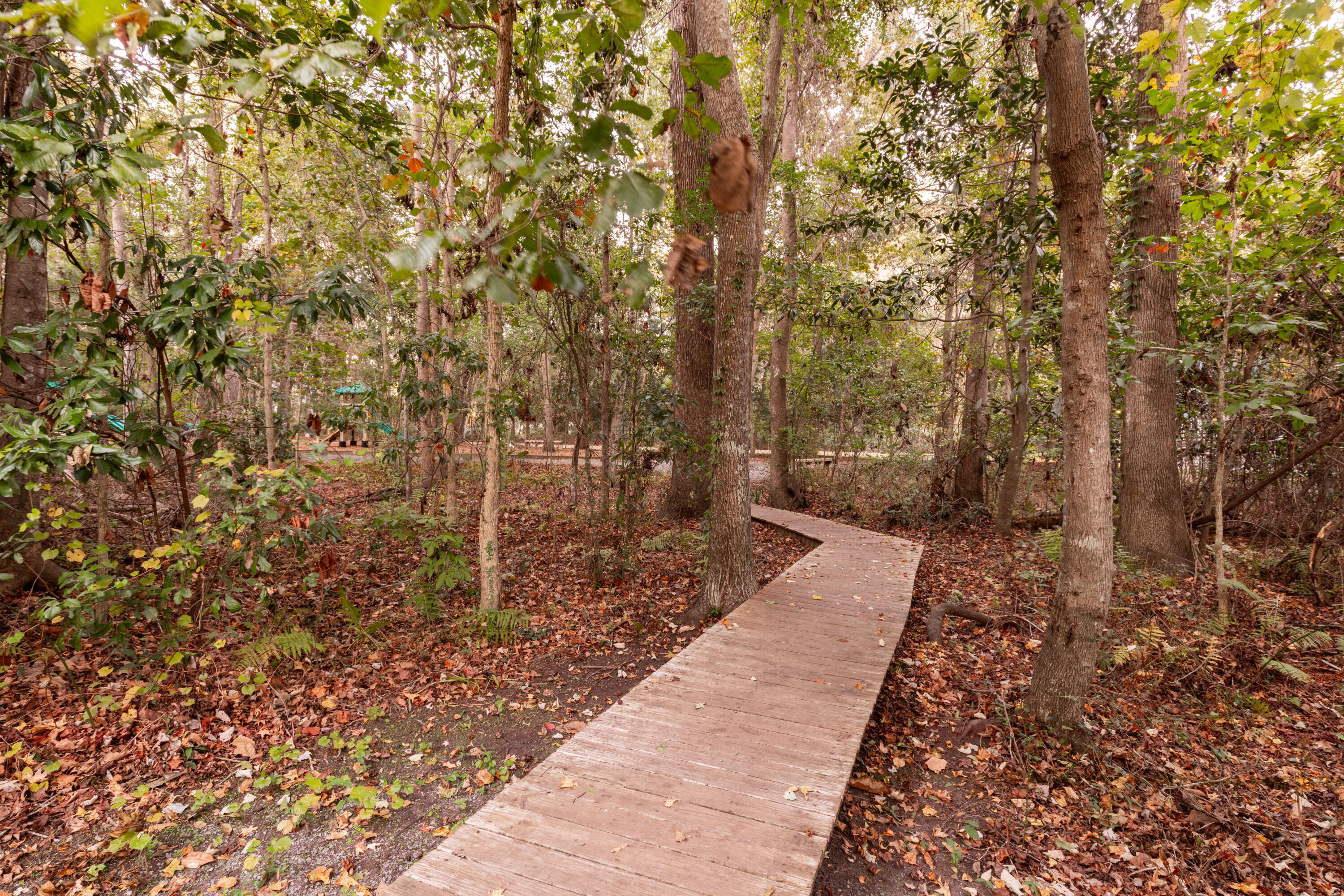 5096 Coral Reef Drive