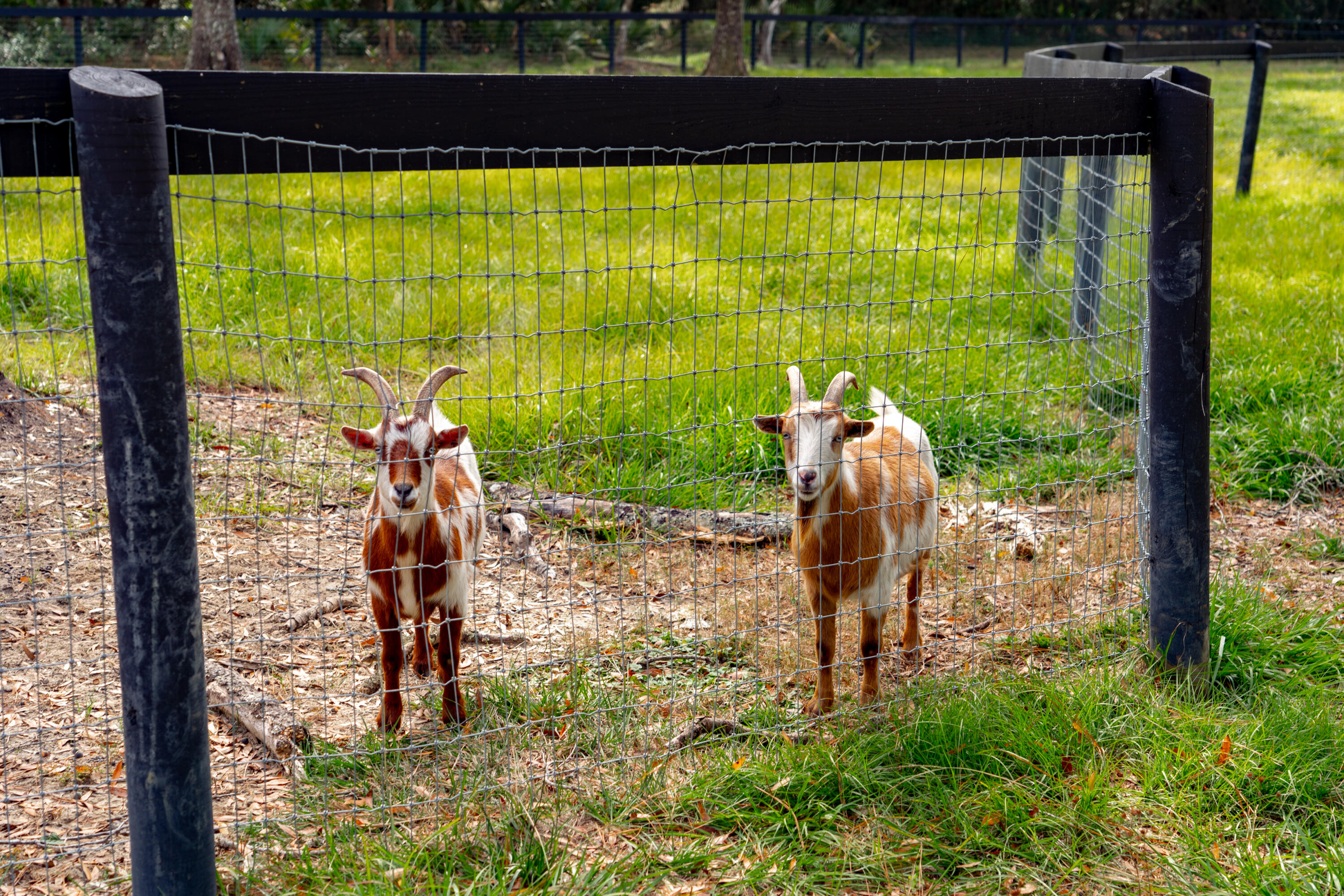 2485 Eden Forest Road