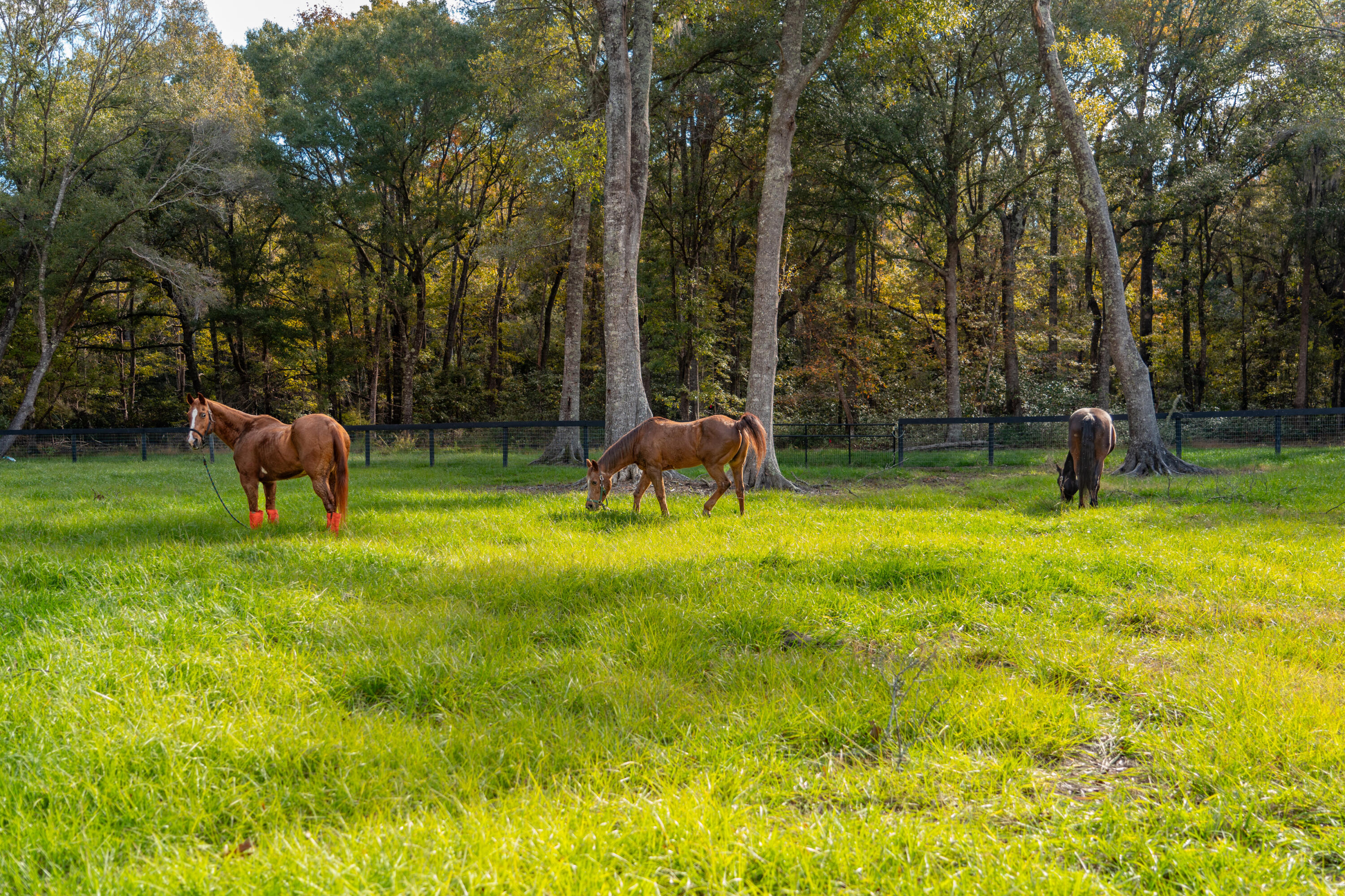 2485 Eden Forest Road