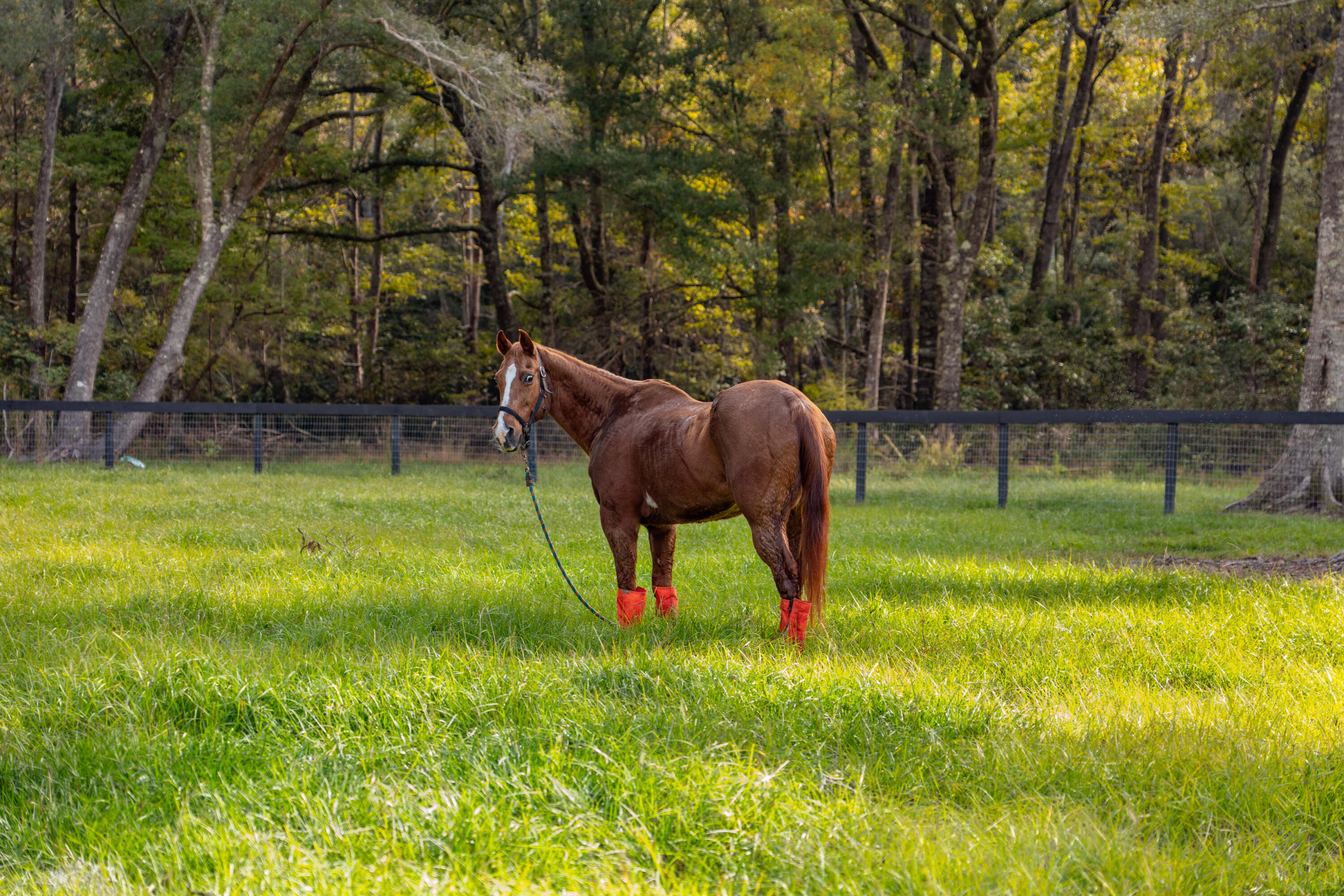 2485 Eden Forest Road