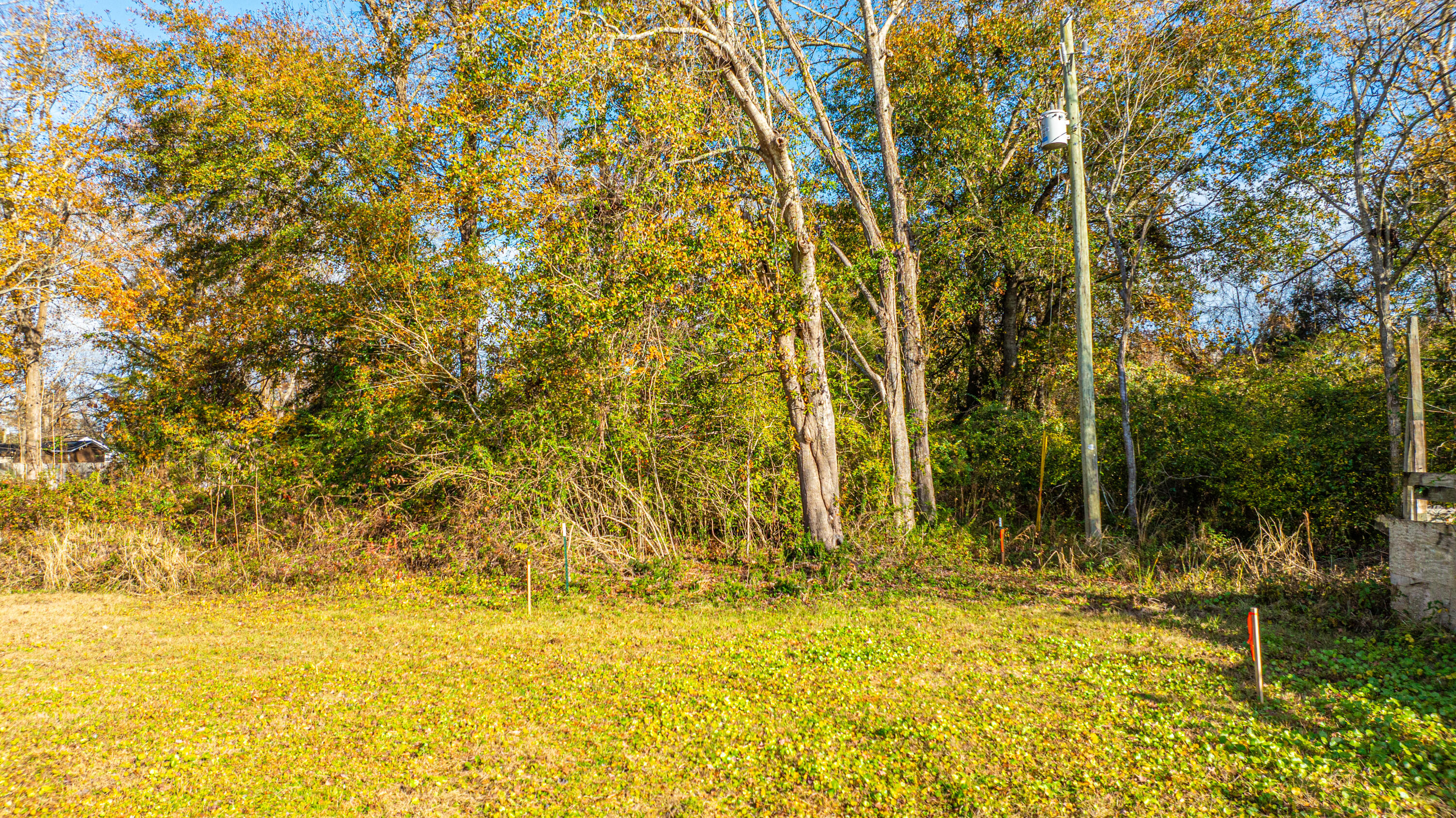 1004 Riverland Drive