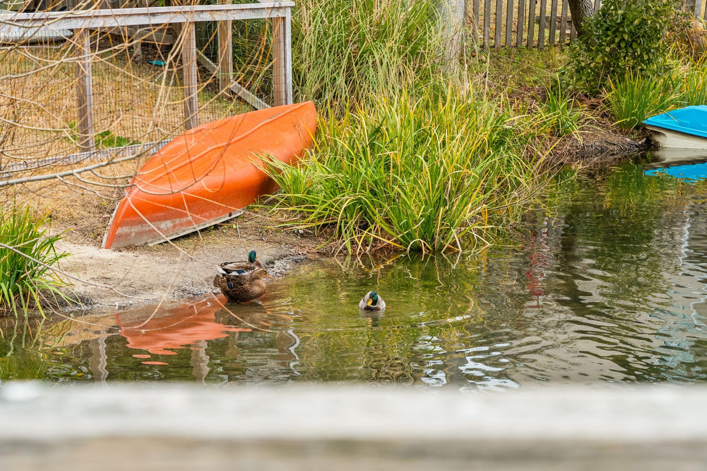 1581 Harborsun Drive