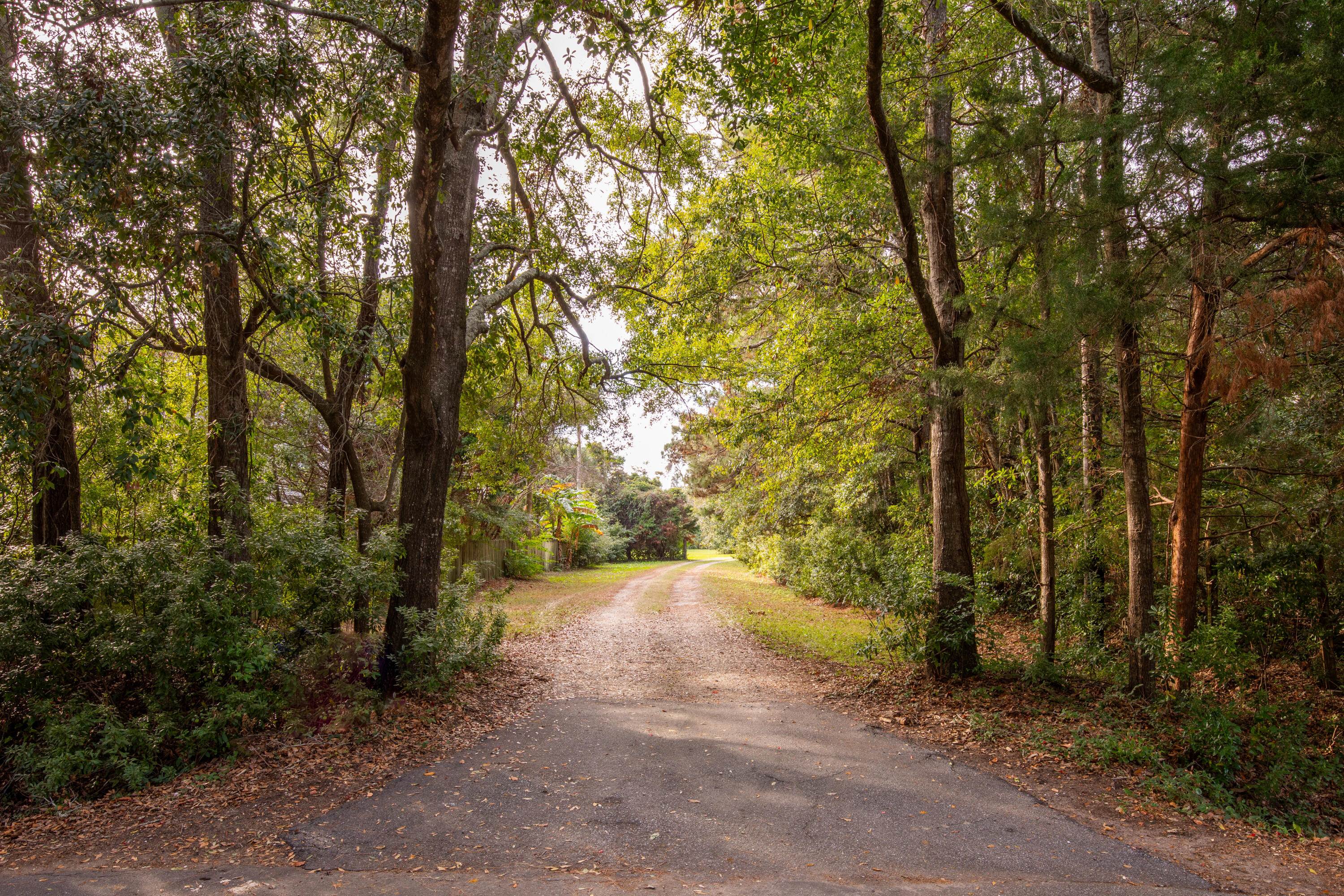 1205 Lighthouse Boulevard