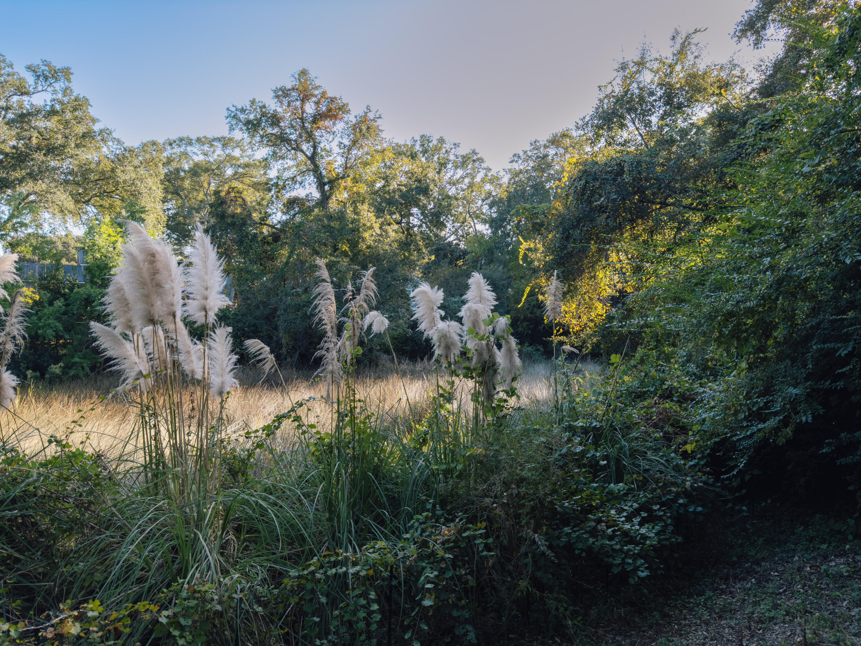 469 Fort Johnson Road