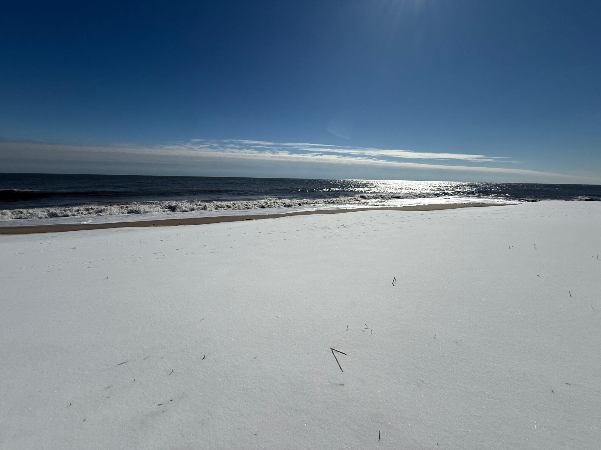 1306 Palmetto Boulevard