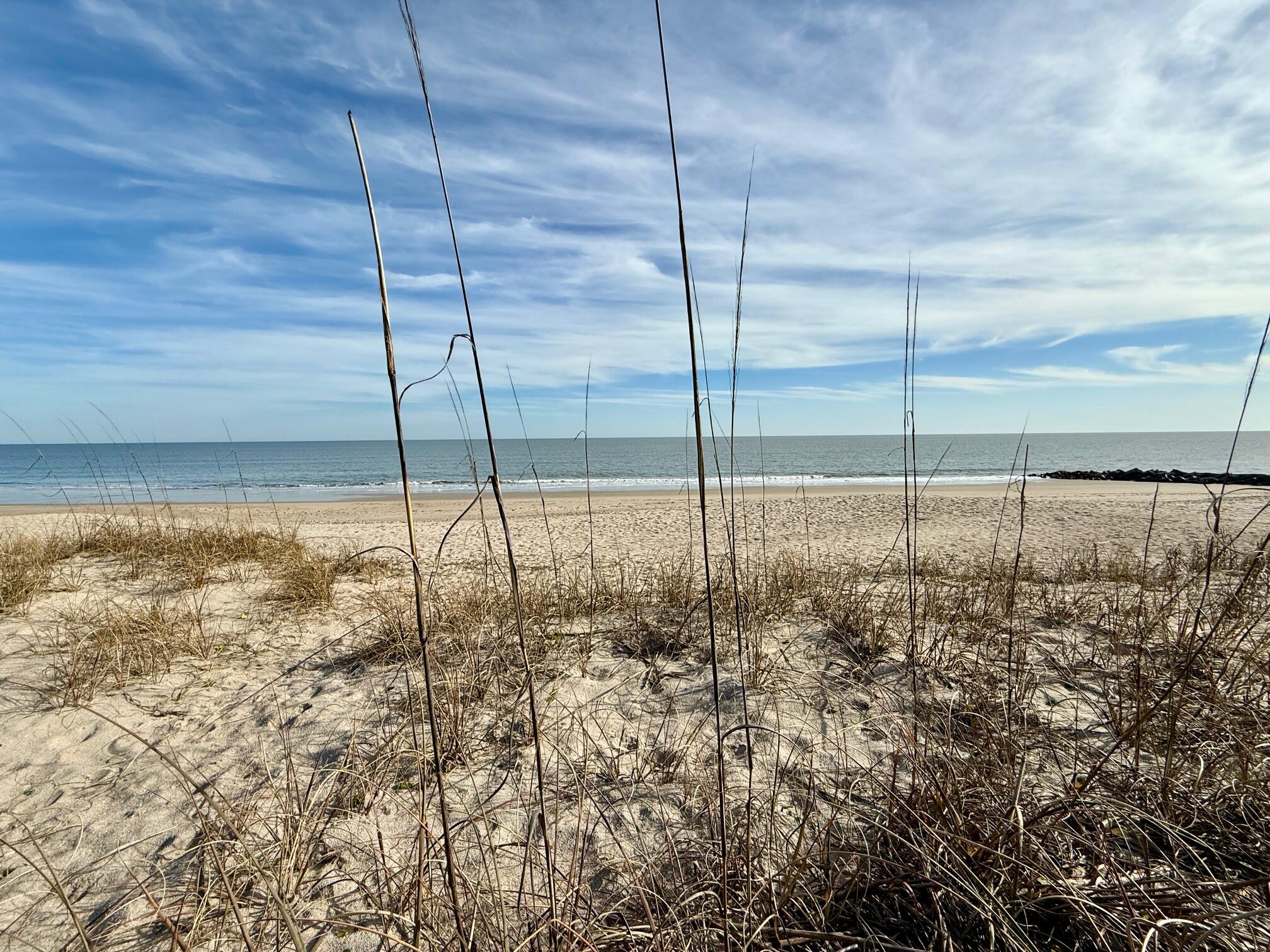 1306 Palmetto Boulevard