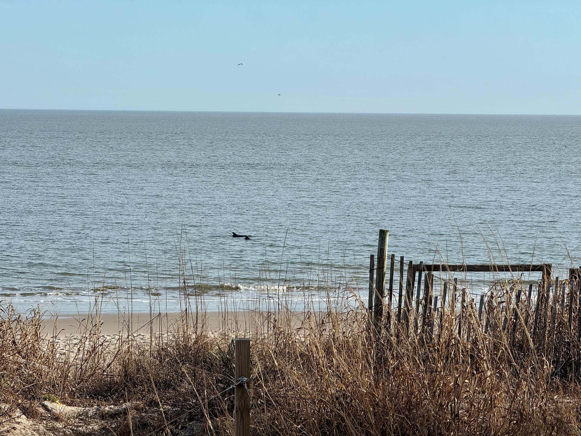 1306 Palmetto Boulevard