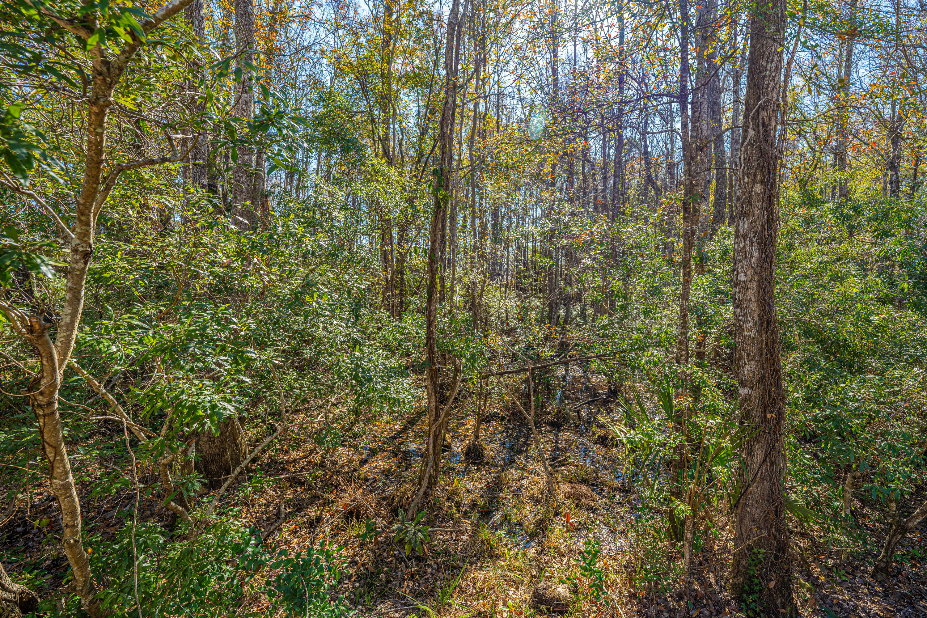 1295 Island Club Drive