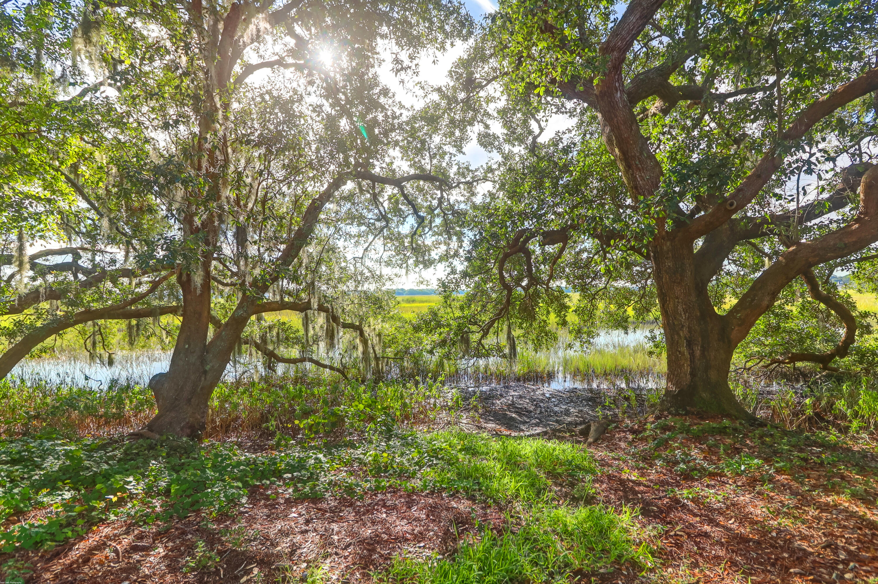 700 Daniel Ellis Drive # 8107