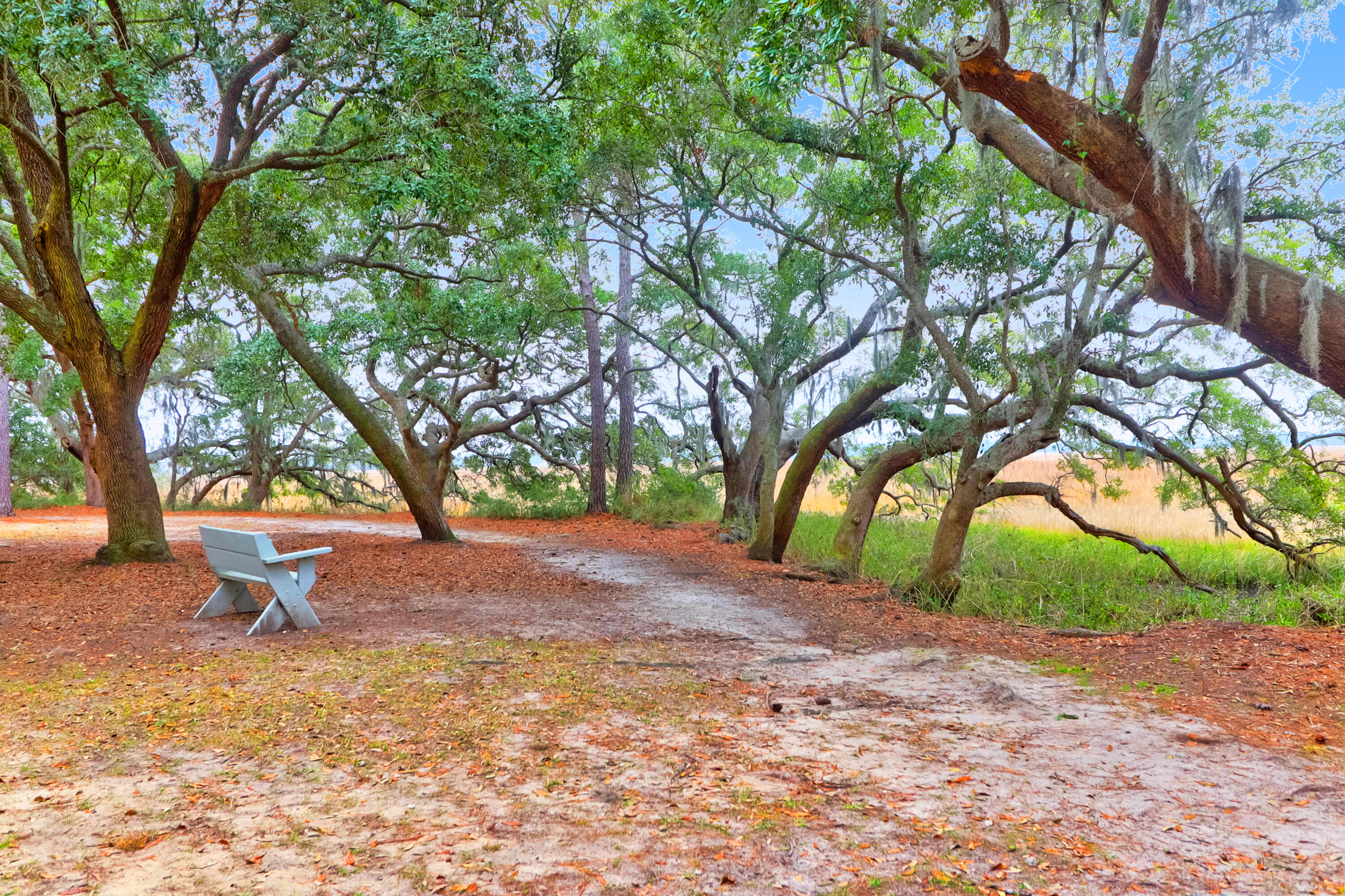 700 Daniel Ellis Drive # 8107