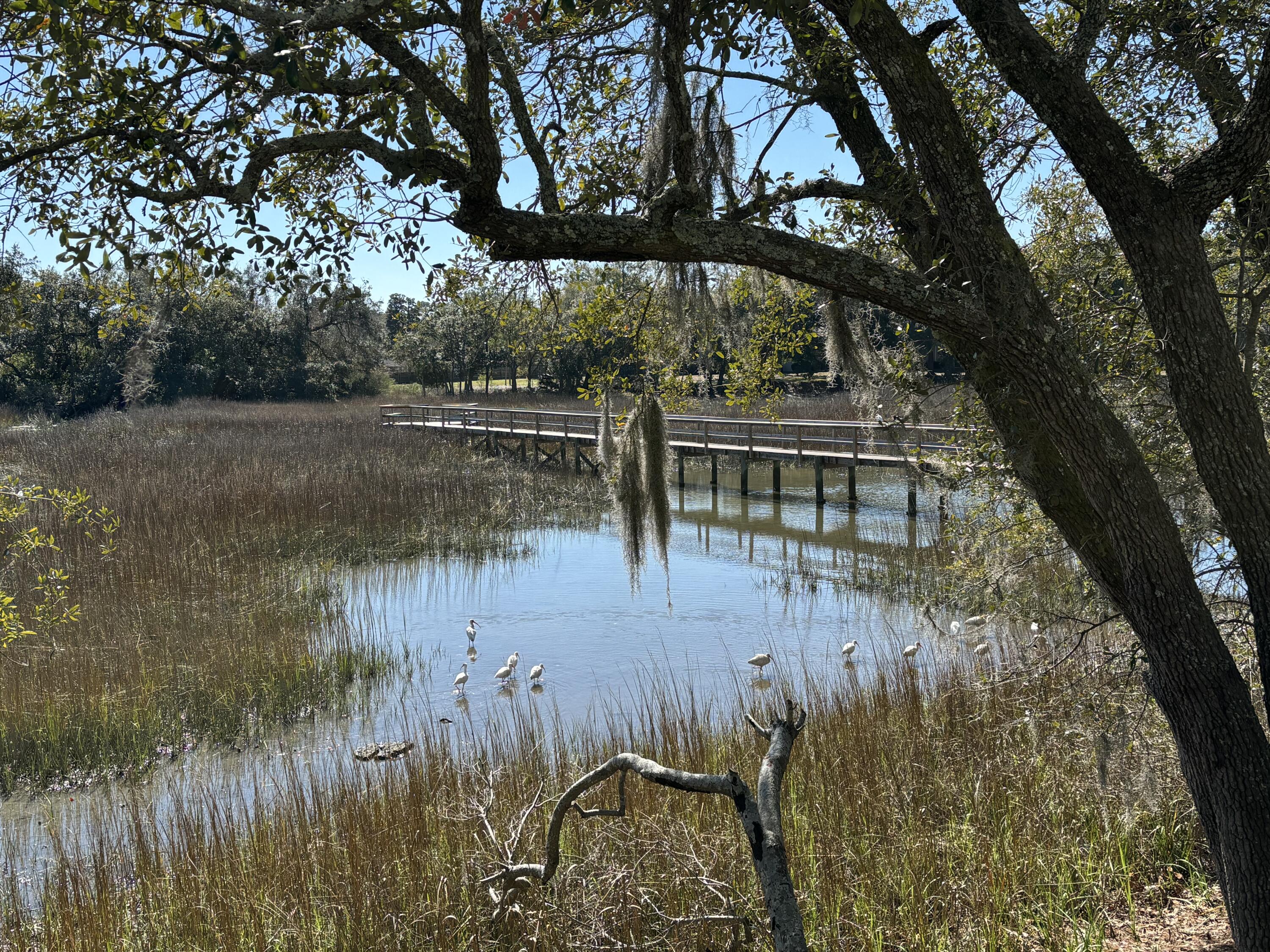 25d Brockman Drive # A Unit: 25-A