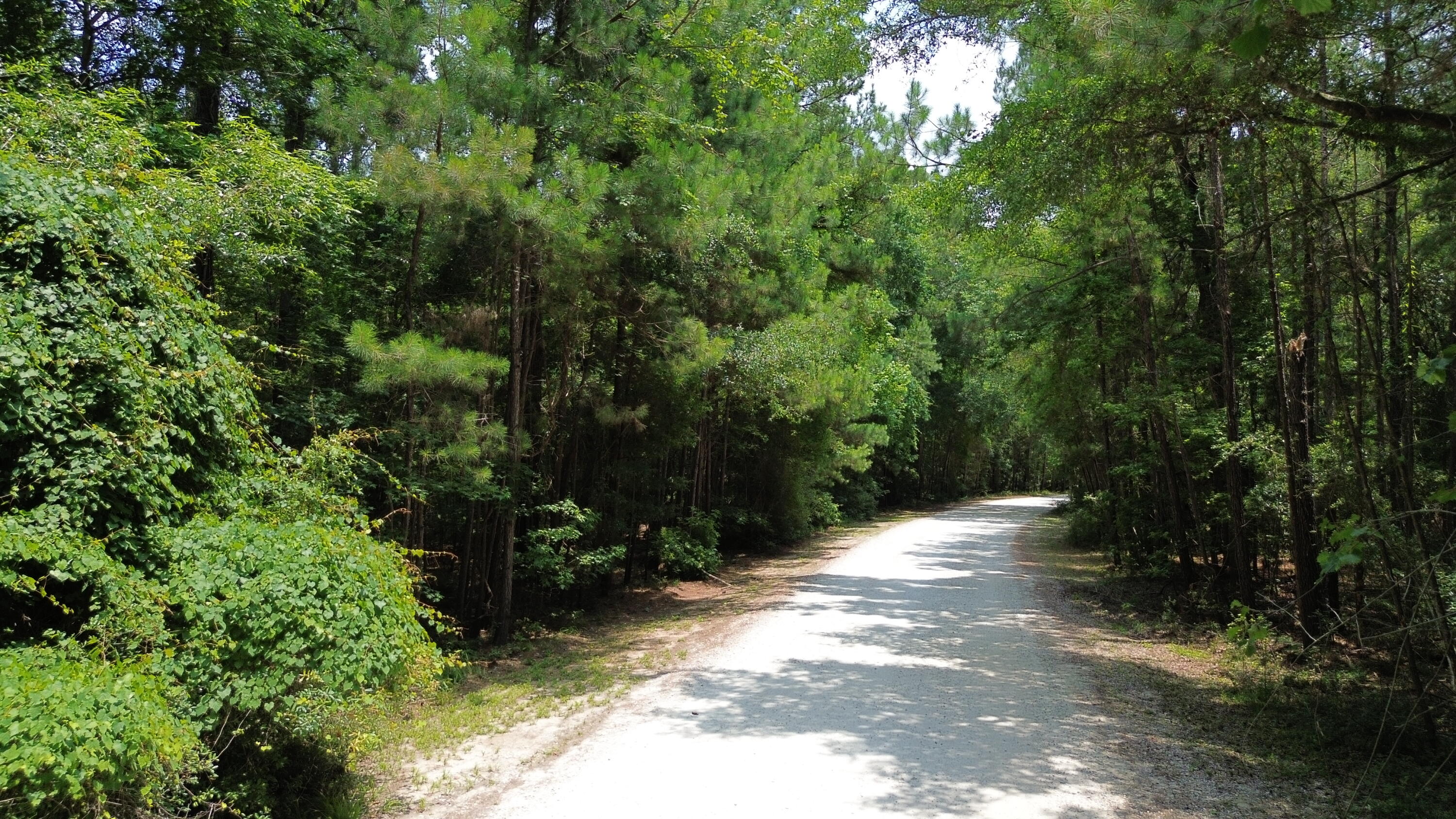 4 Preserve Road