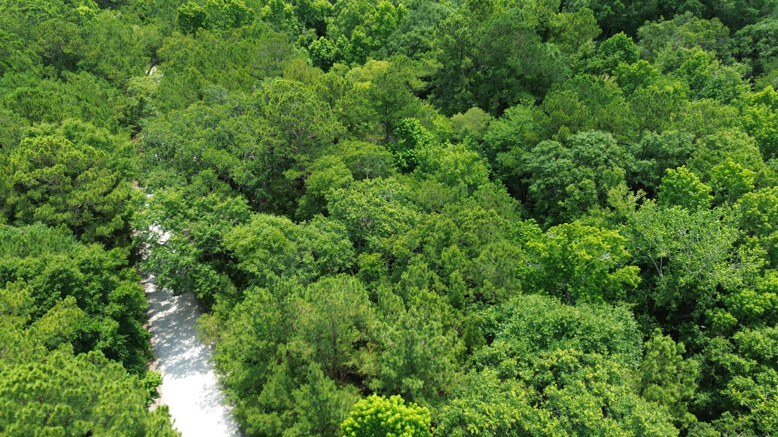 4 Preserve Road