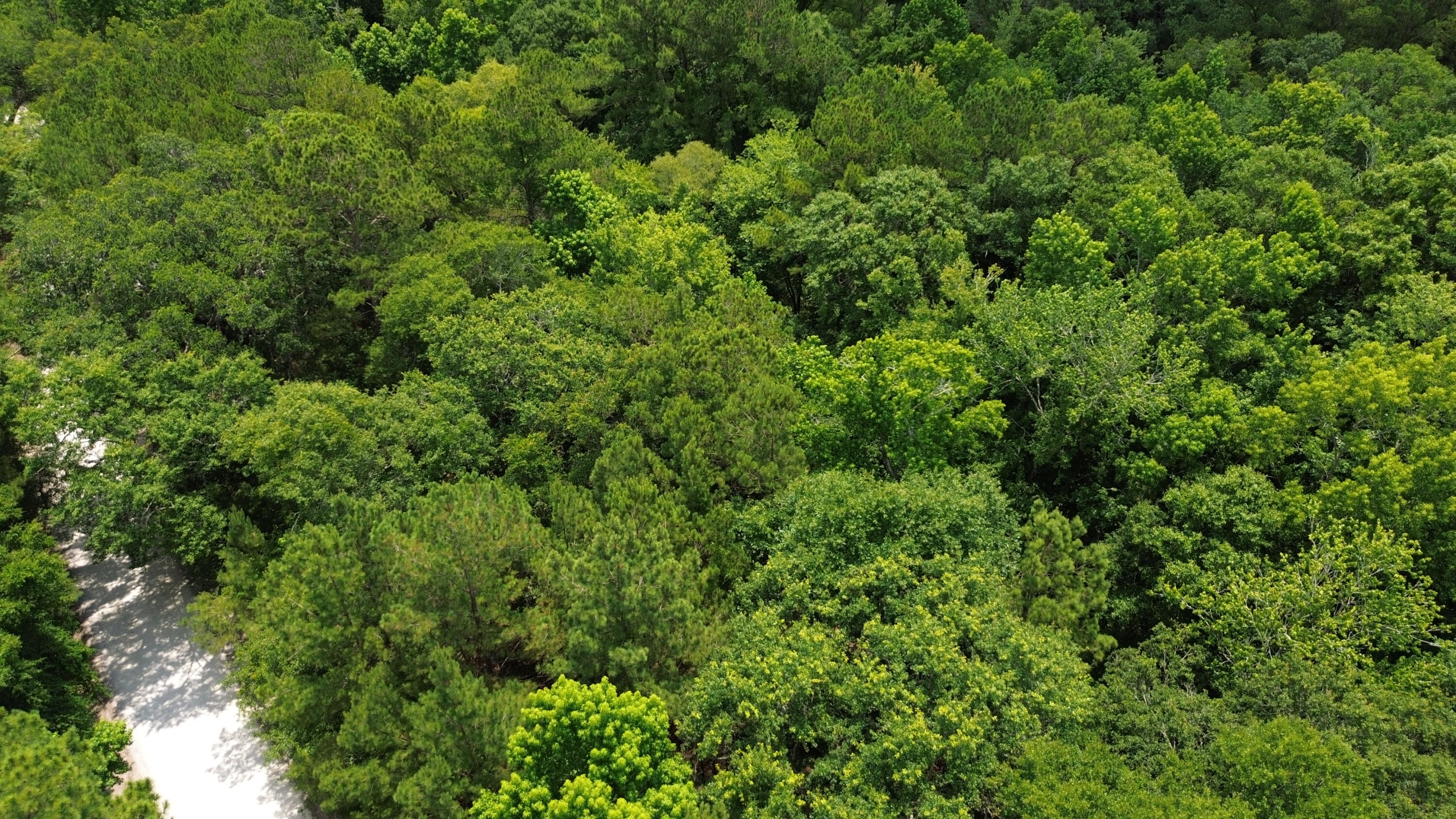 4 Preserve Road