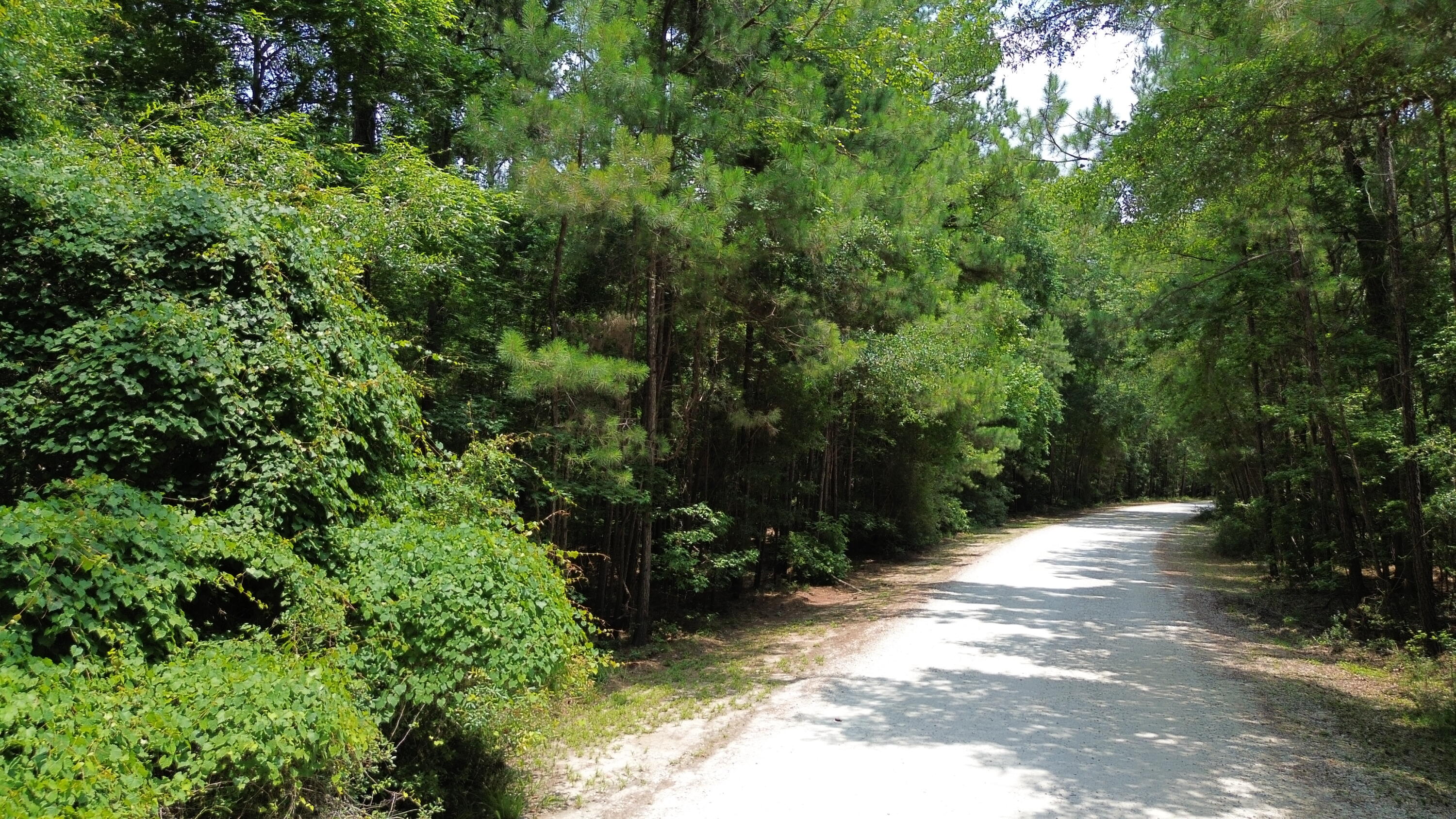 4 Preserve Road