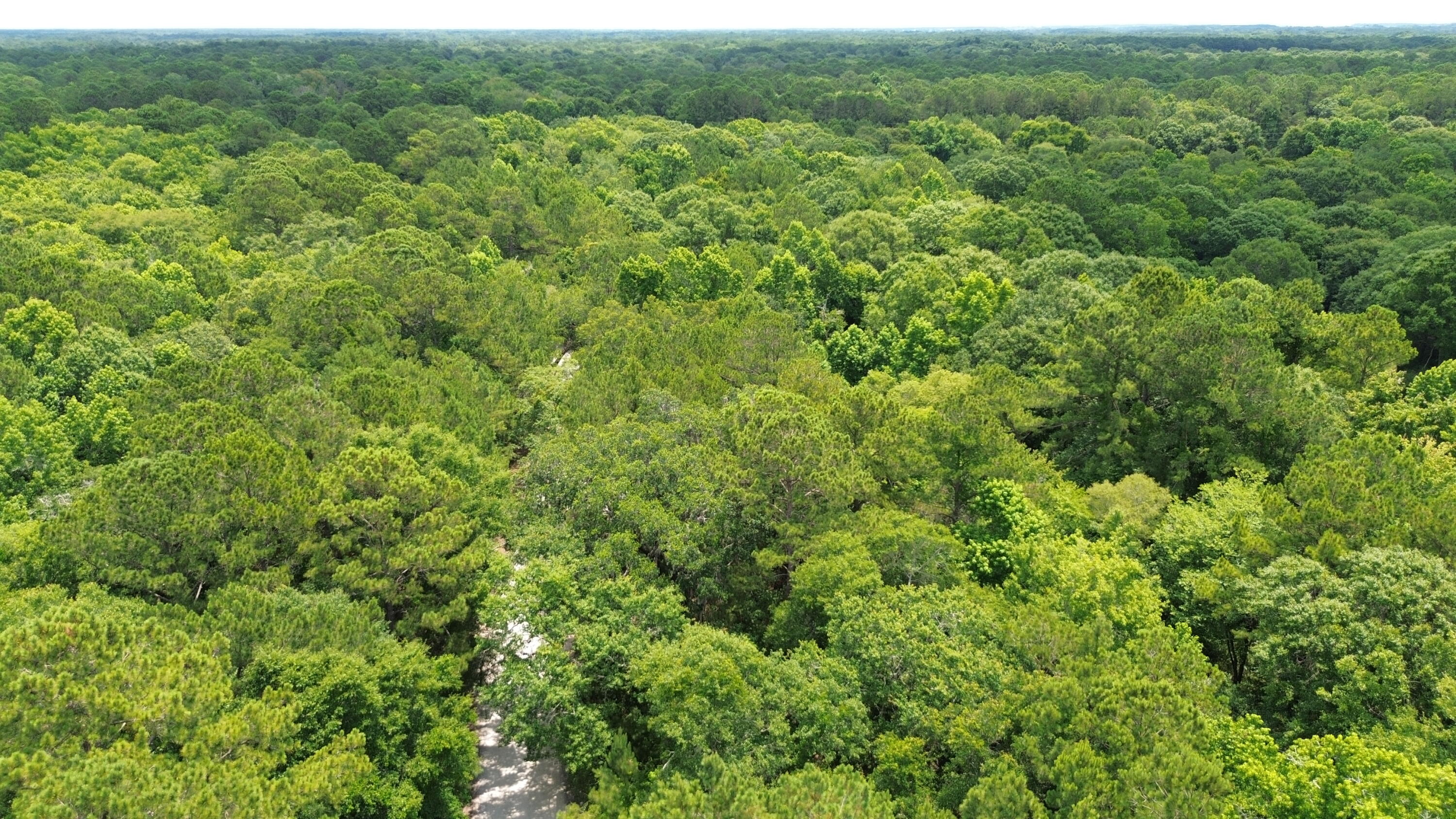 4 Preserve Road