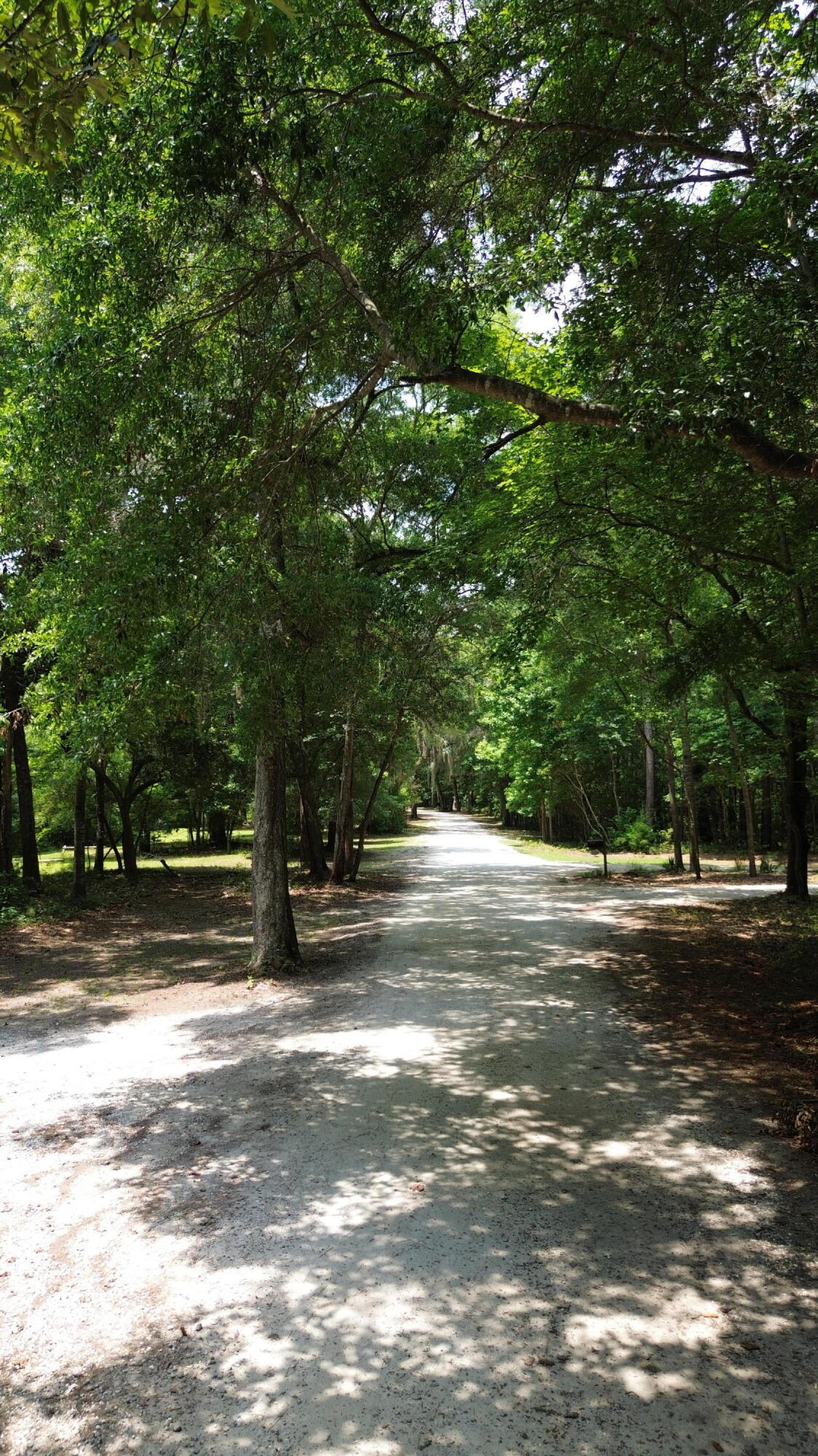 4 Preserve Road