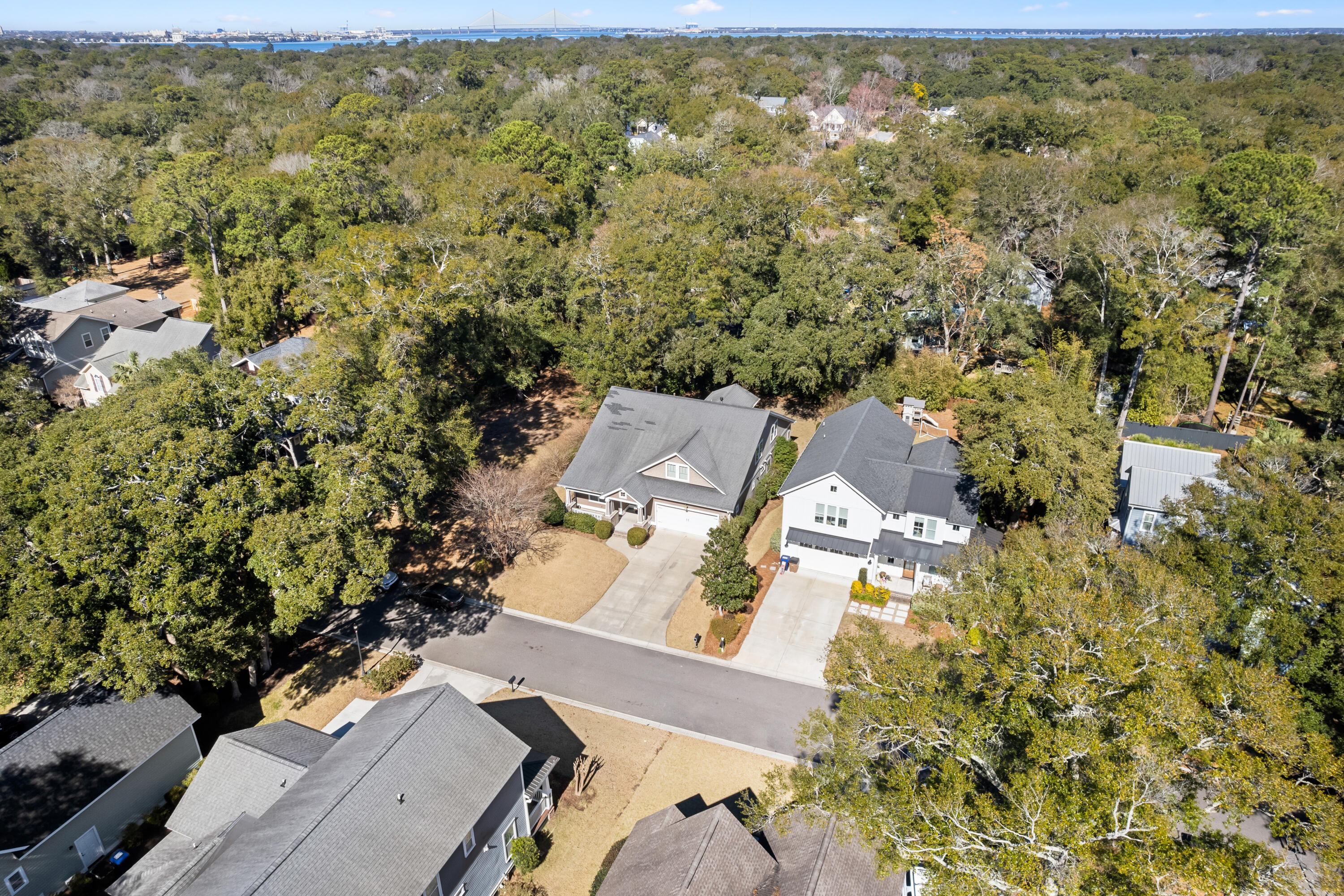 734 Canopy Cove Cove