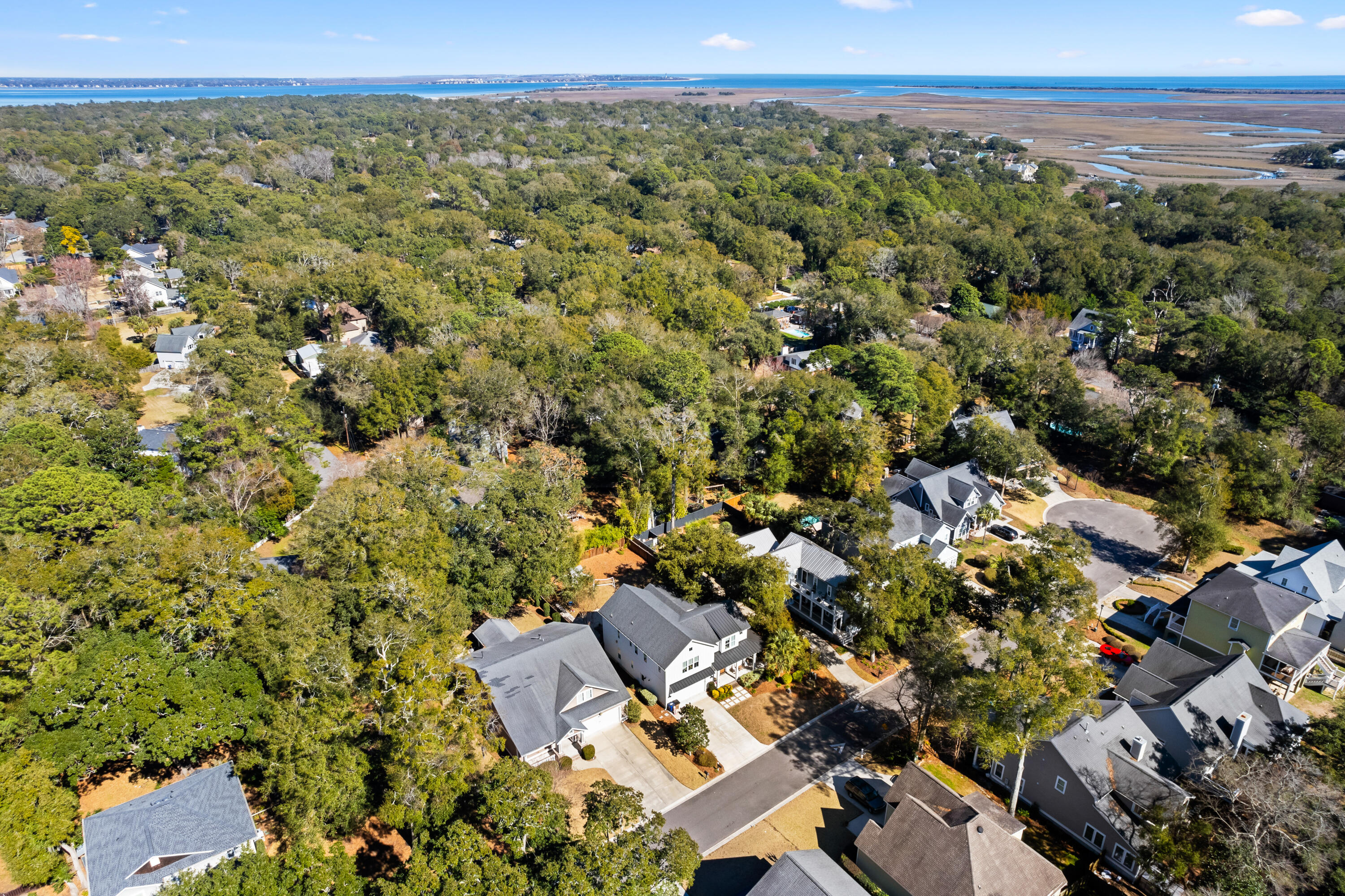 734 Canopy Cove Cove