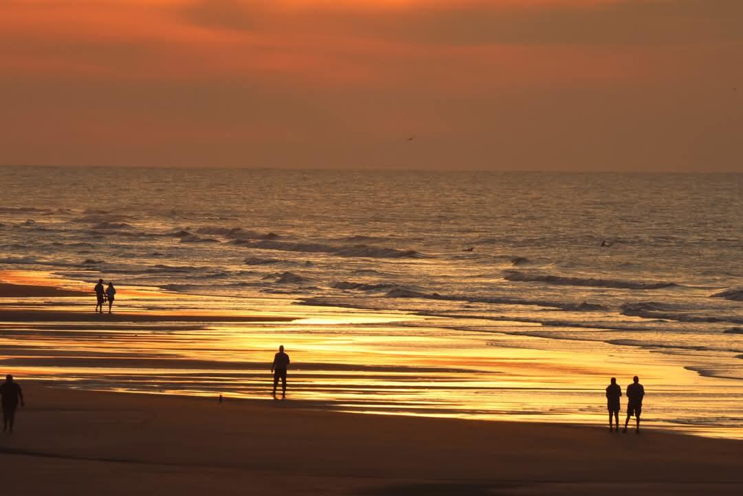 1699 E Ashley Avenue # B