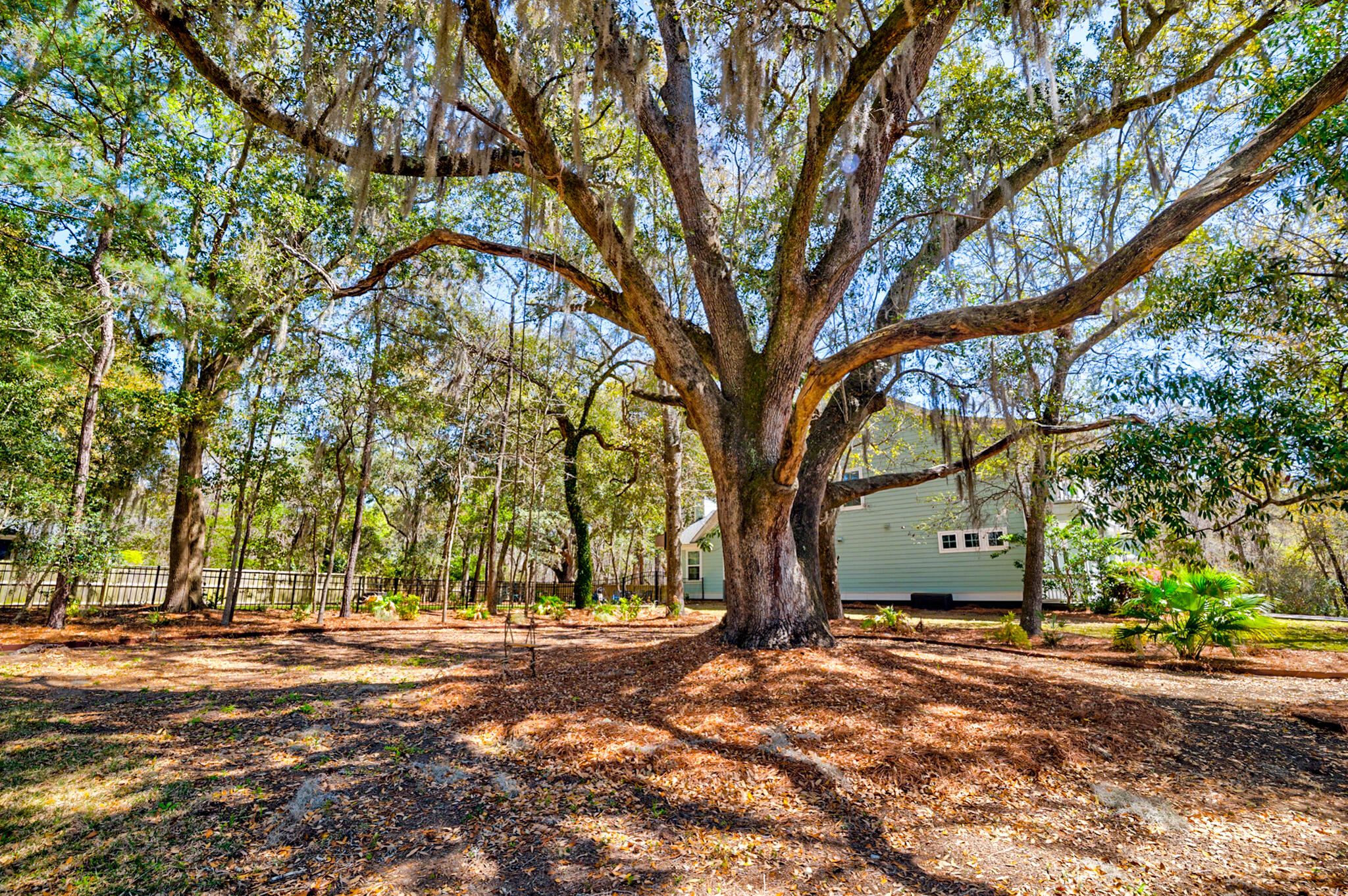 2107 Nicholas David Path