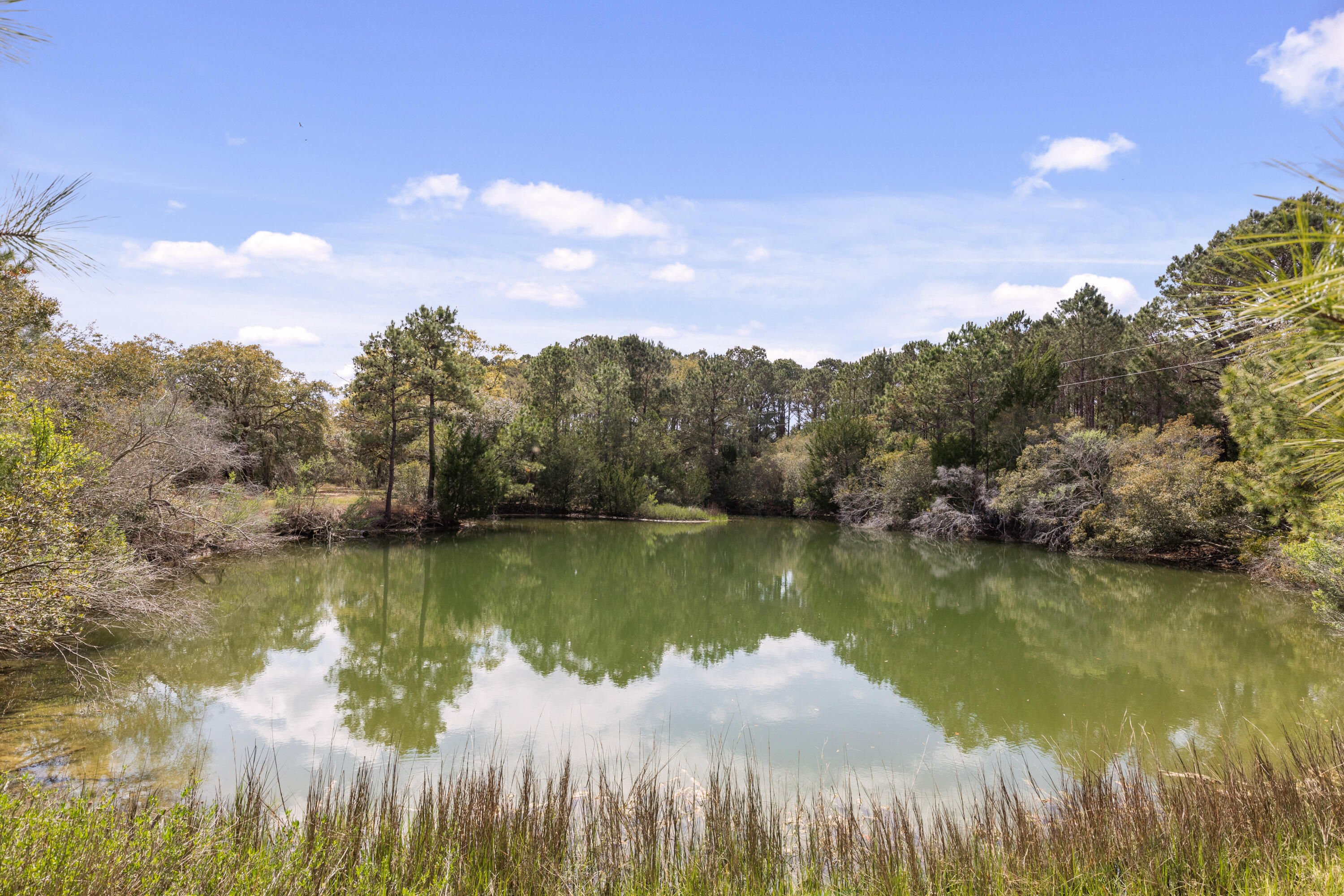 2480 Royal Oak Drive