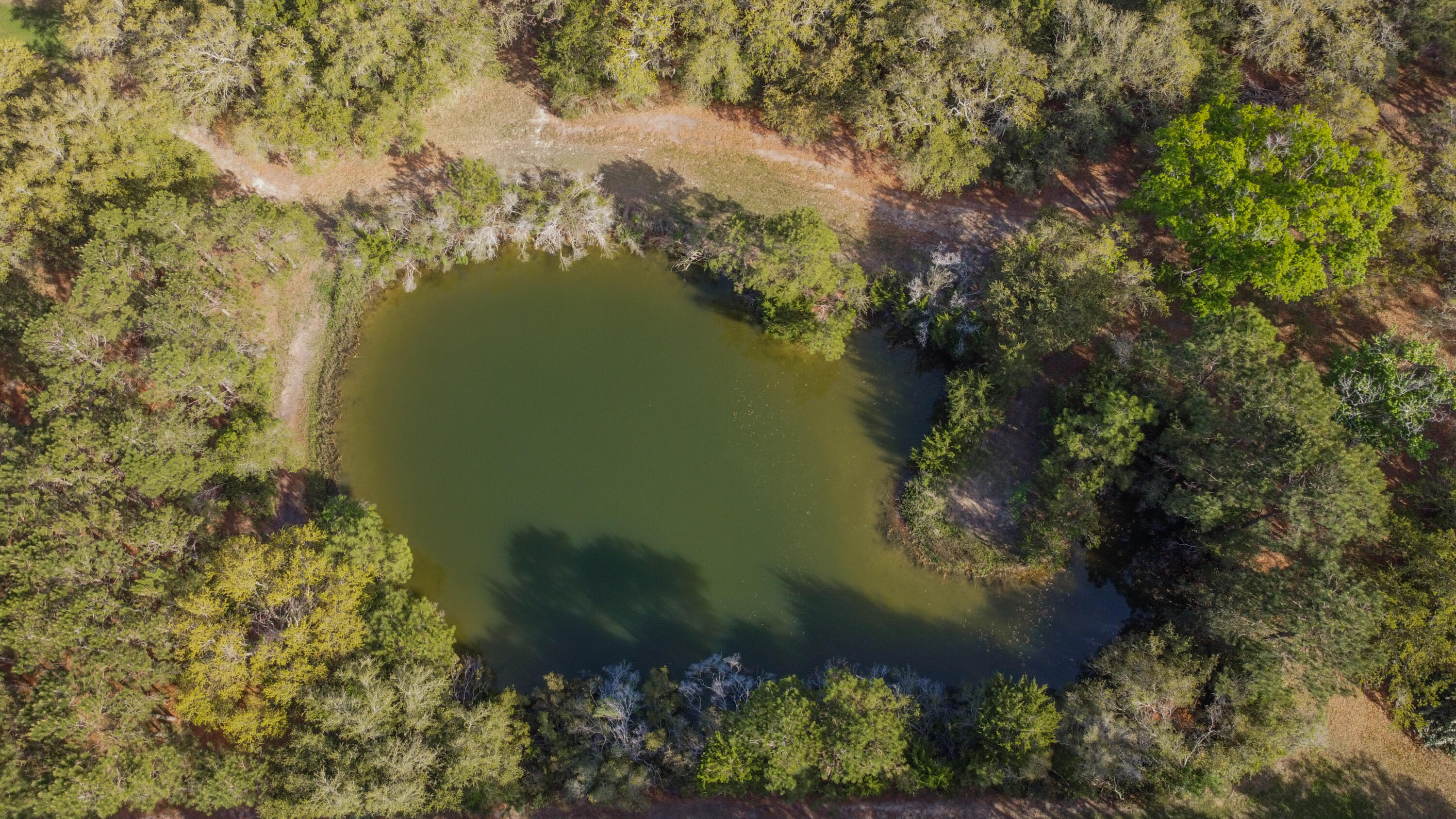 2480 Royal Oak Drive