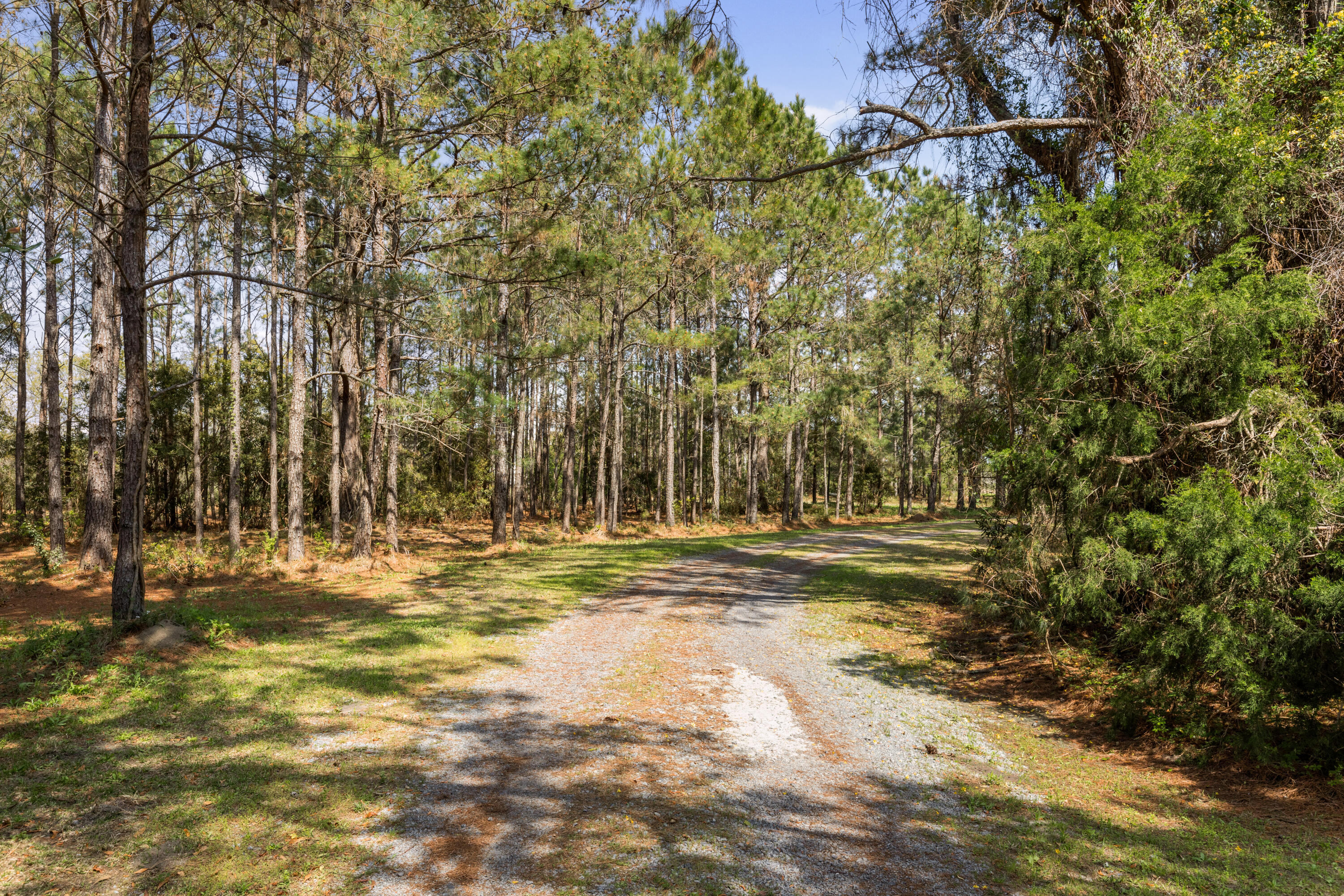 2480 Royal Oak Drive