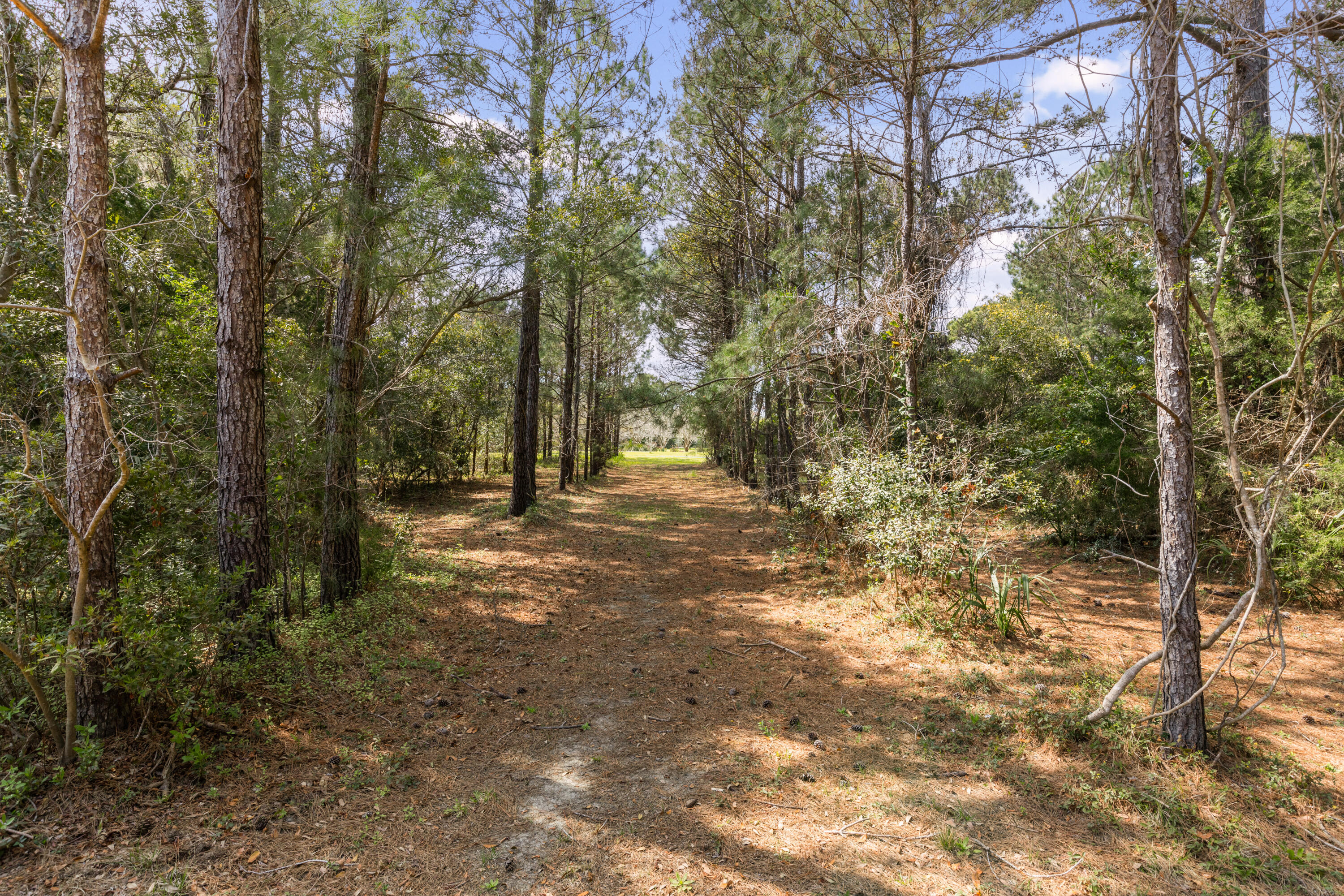 2480 Royal Oak Drive