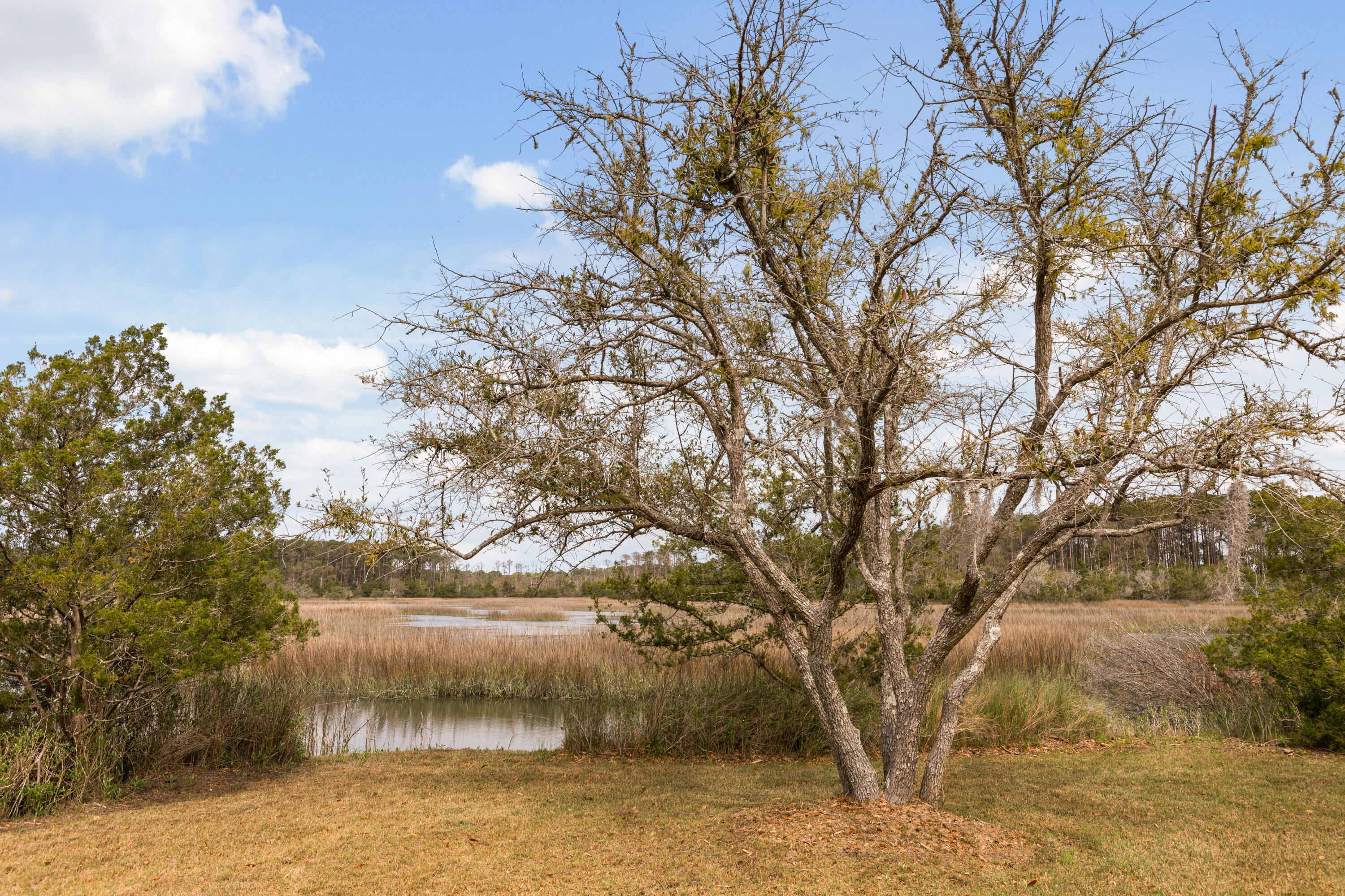 2480 Royal Oak Drive