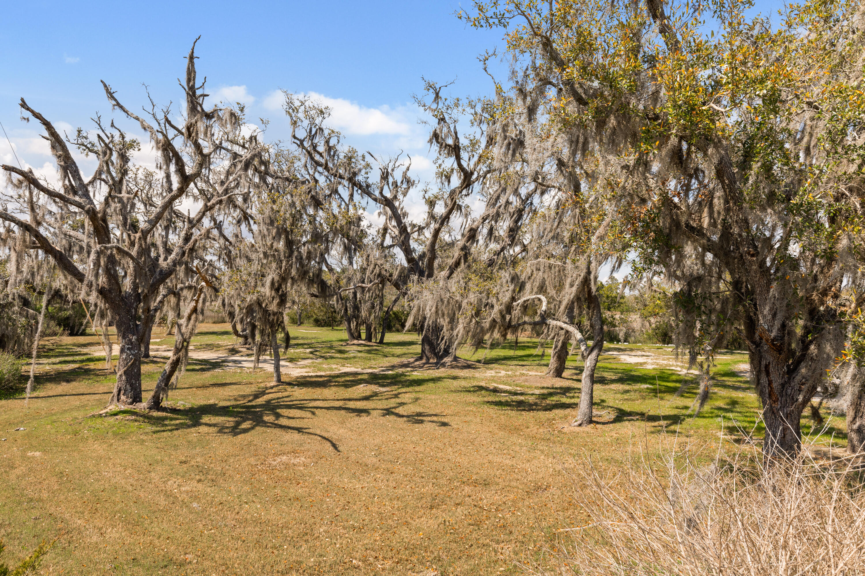 2480 Royal Oak Drive