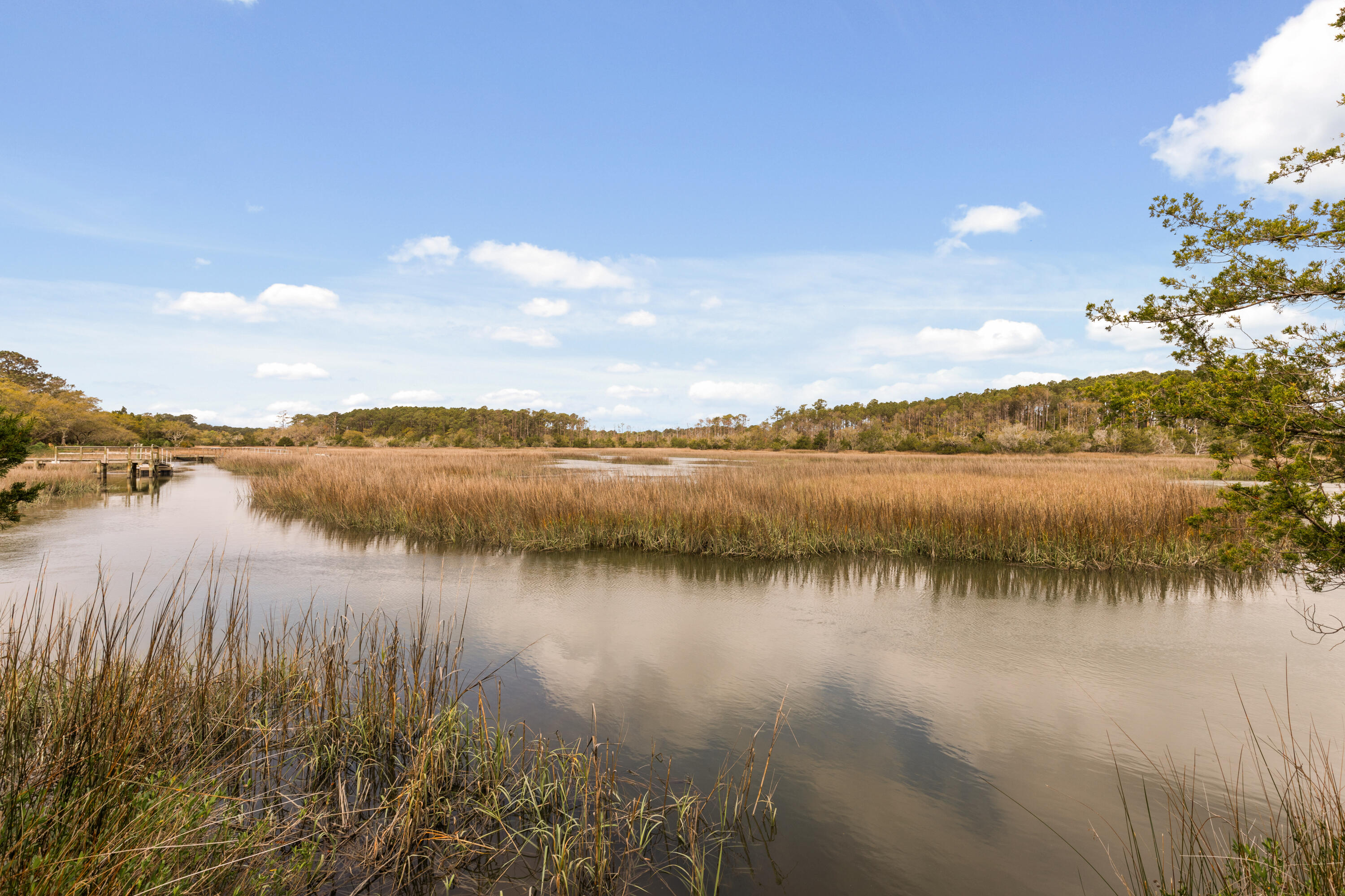 2480 Royal Oak Drive