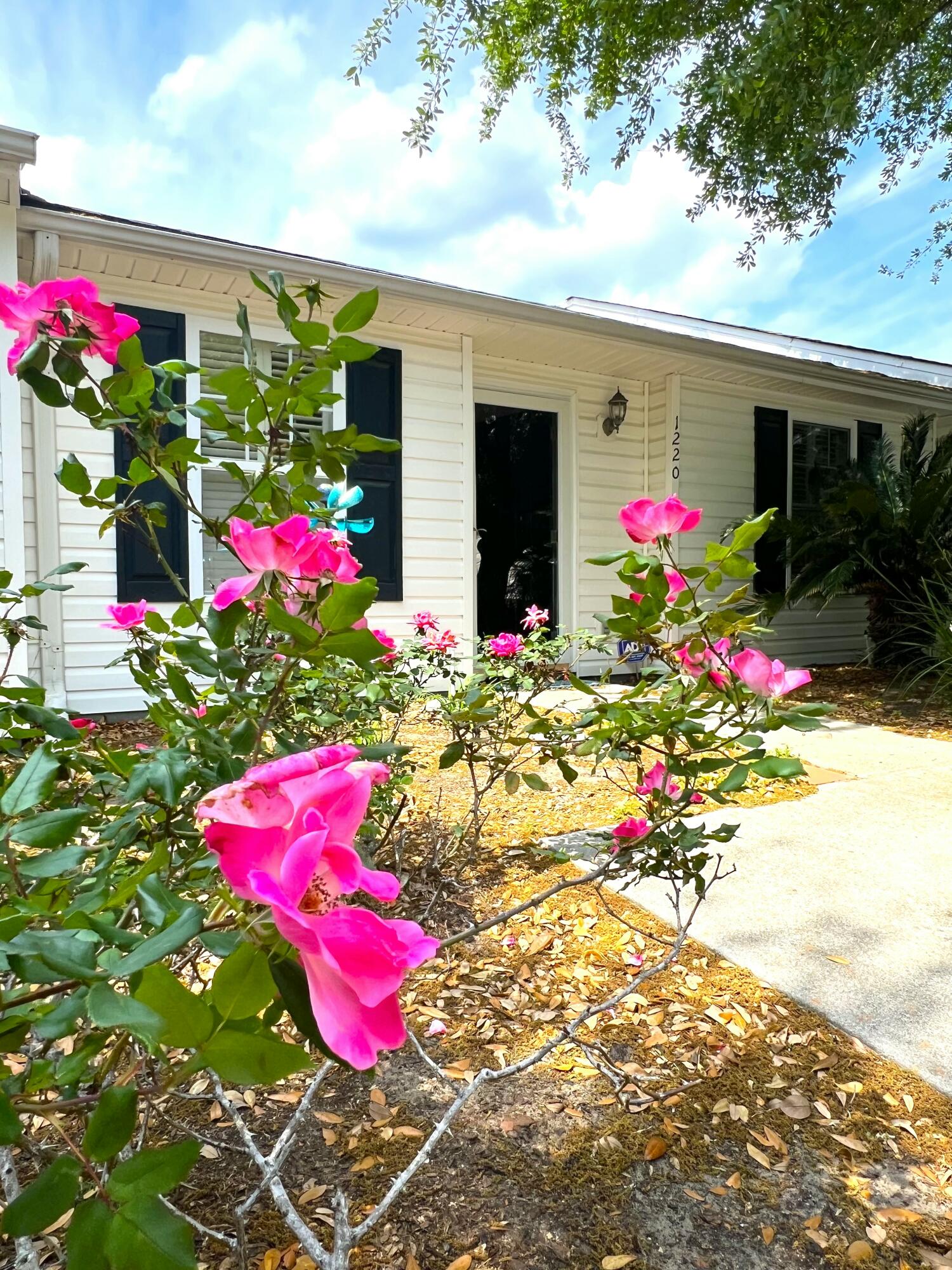1220 Apex Lane