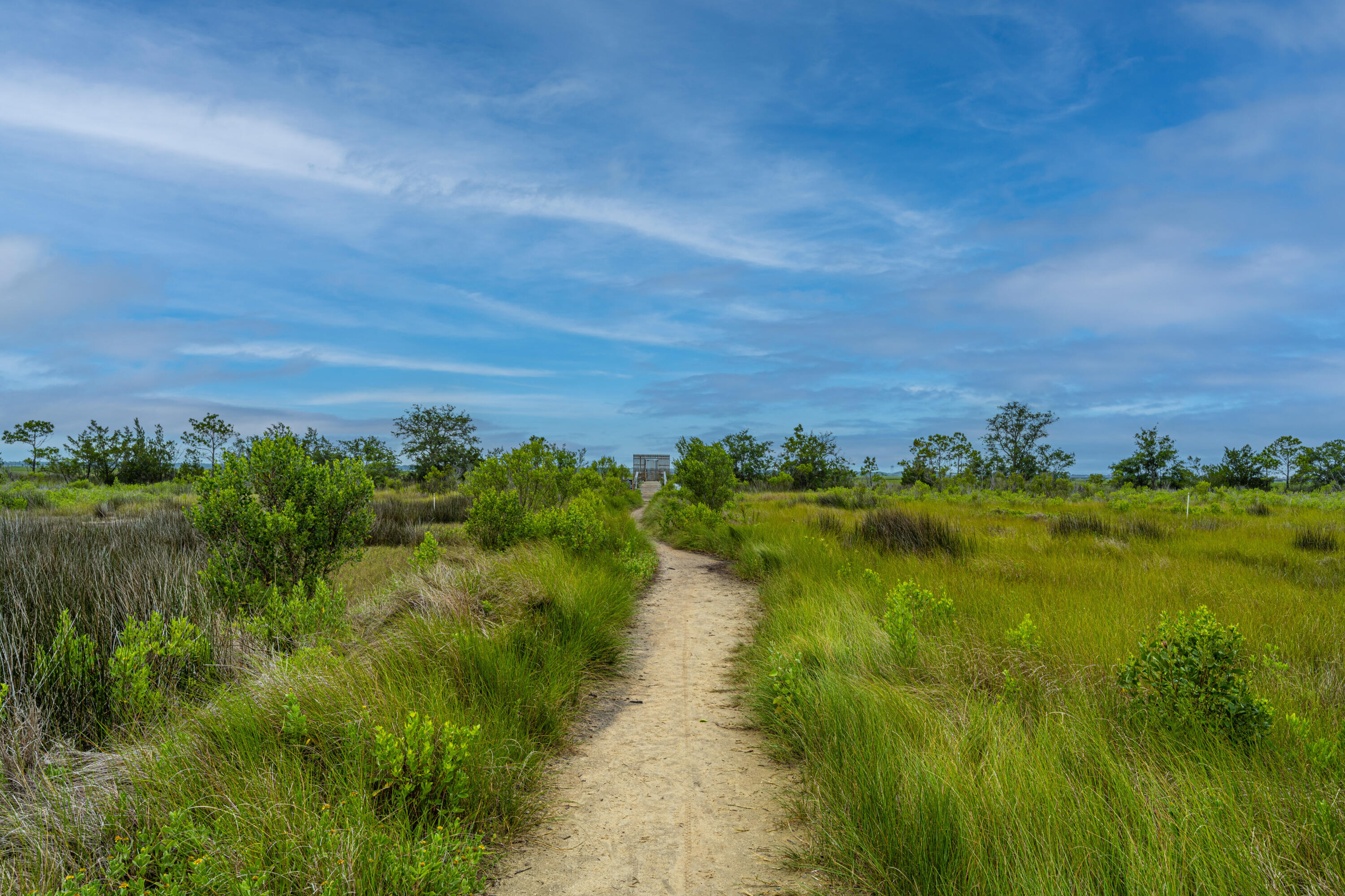 2302 Hamlin Sound Circle