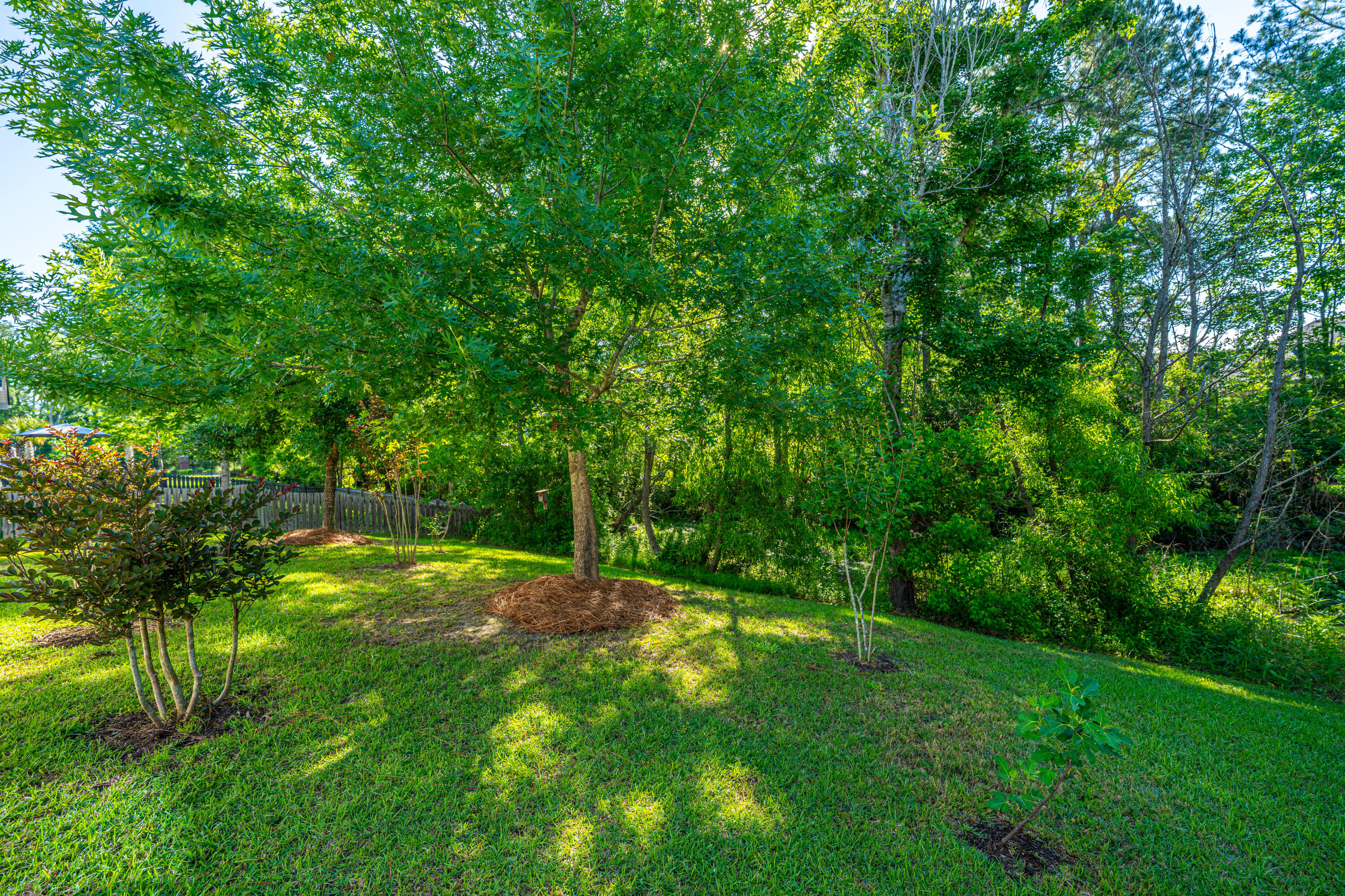 2314 Hummingbird Lane